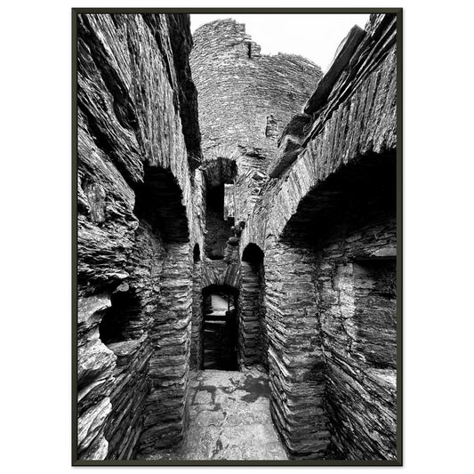 b09d4a48-6825-4d32-8b5a-bf6184bd8dc7