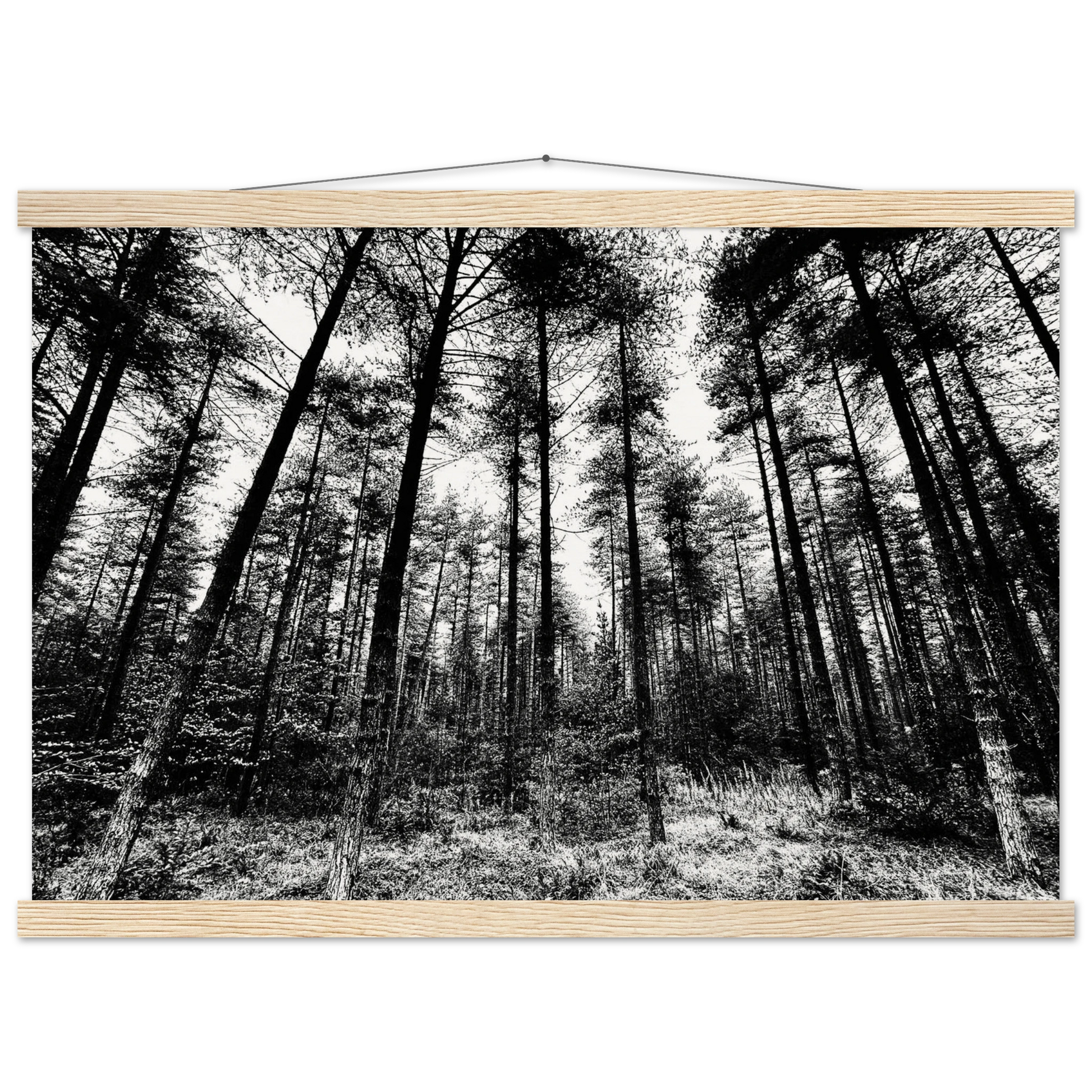 b1092314-72bf-4720-8ef0-7d81277673c7