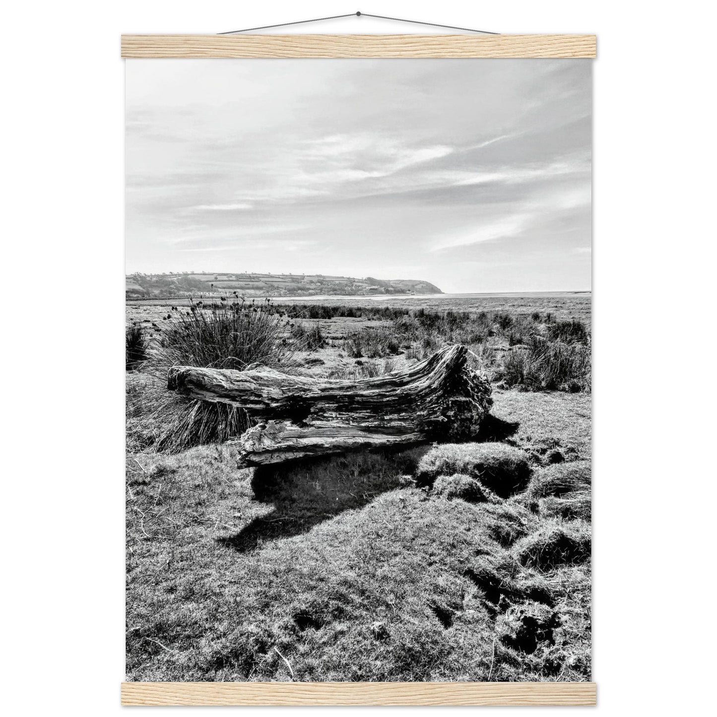 b5b4a70b-52b8-4184-b3aa-c1f21606d640