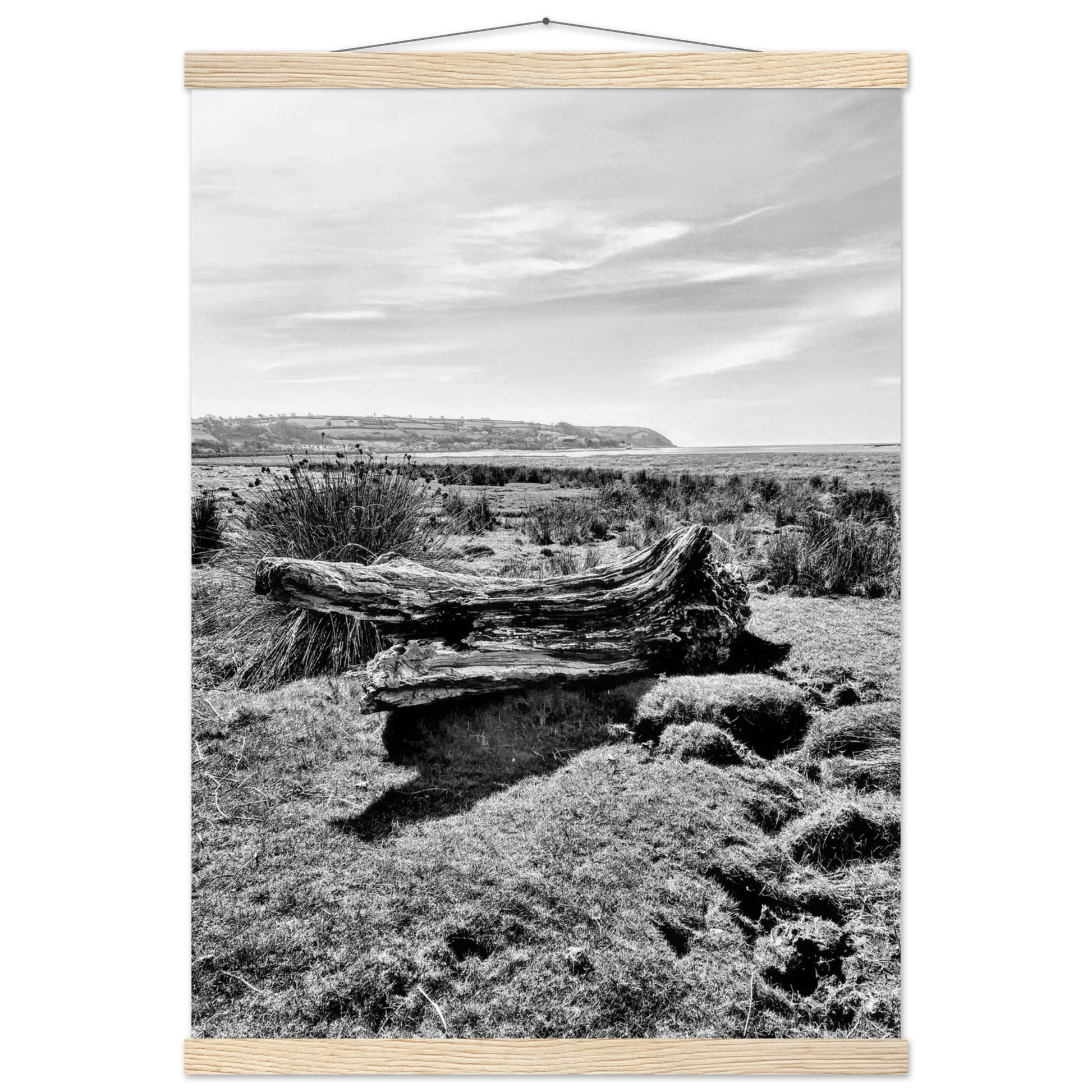 b5b4a70b-52b8-4184-b3aa-c1f21606d640