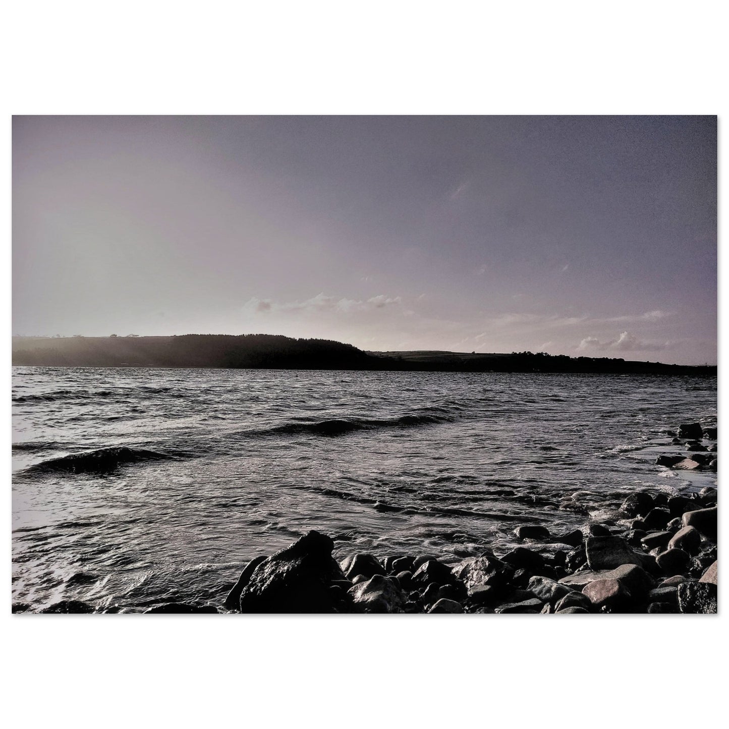 b5c19dfe-c187-4020-8a8f-84a7dbe51111