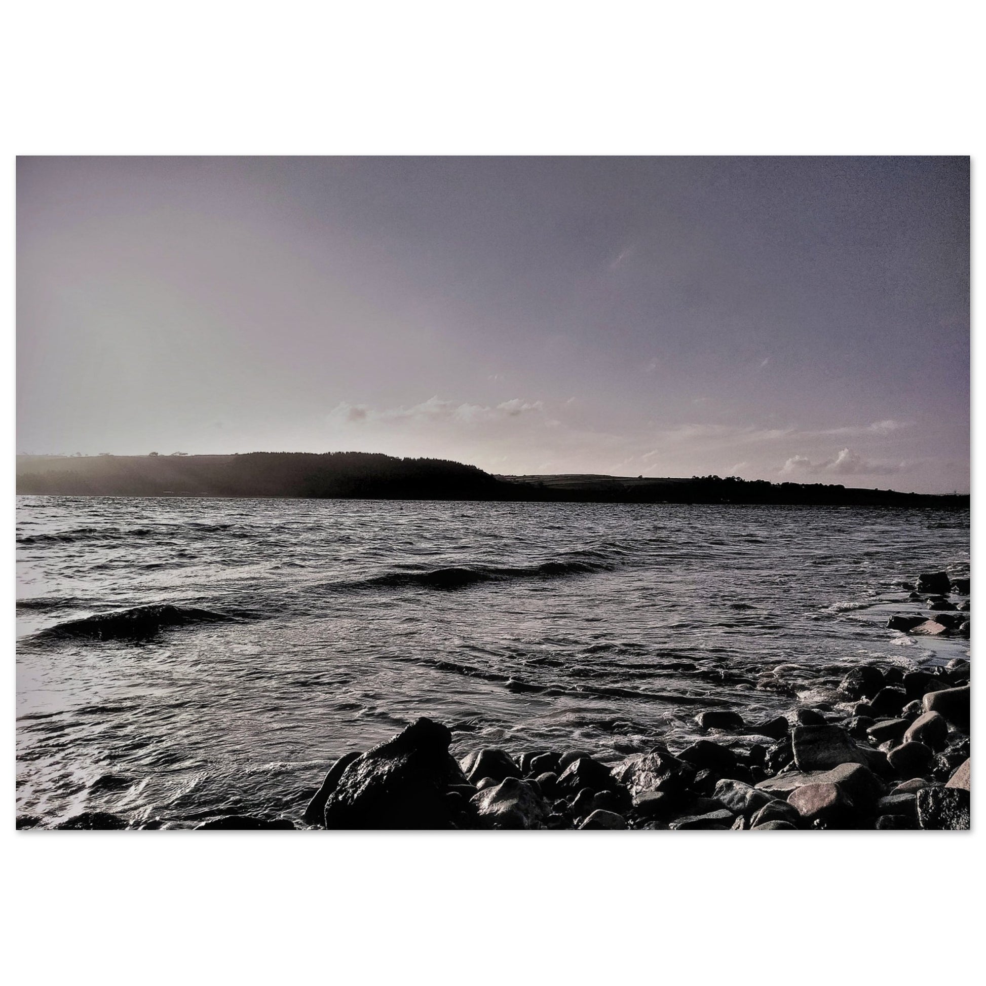 b5c19dfe-c187-4020-8a8f-84a7dbe51111