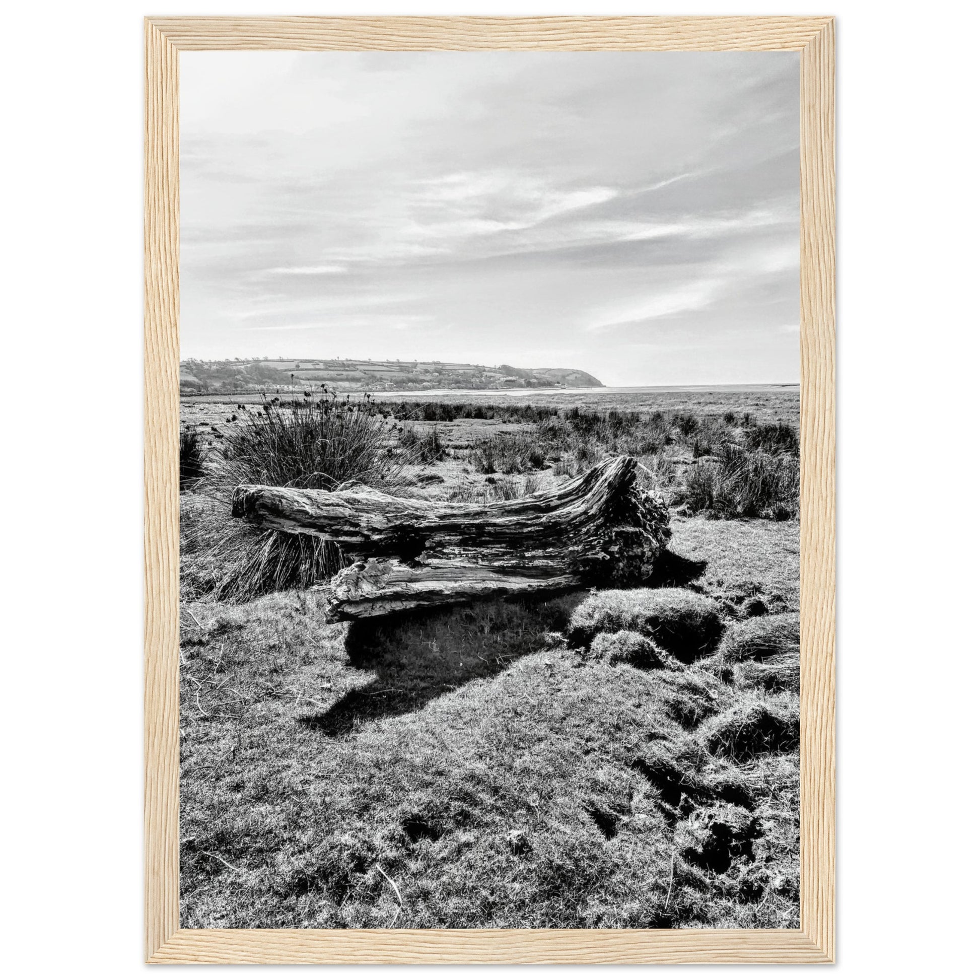 b6d251ba-393a-4eb8-b0e7-3c126a139eca