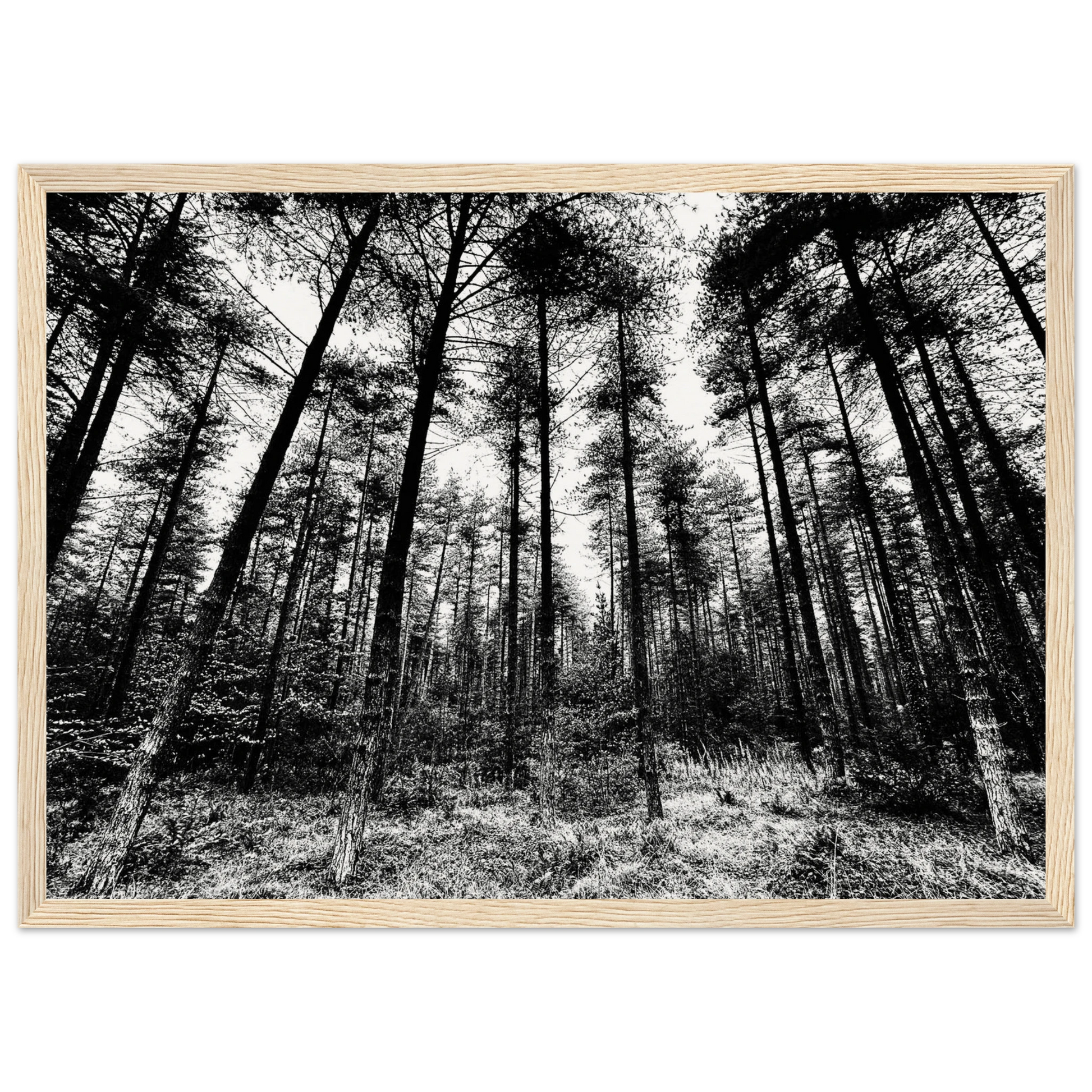 c08b4c30-88c3-45b0-bc38-b38a072c8463