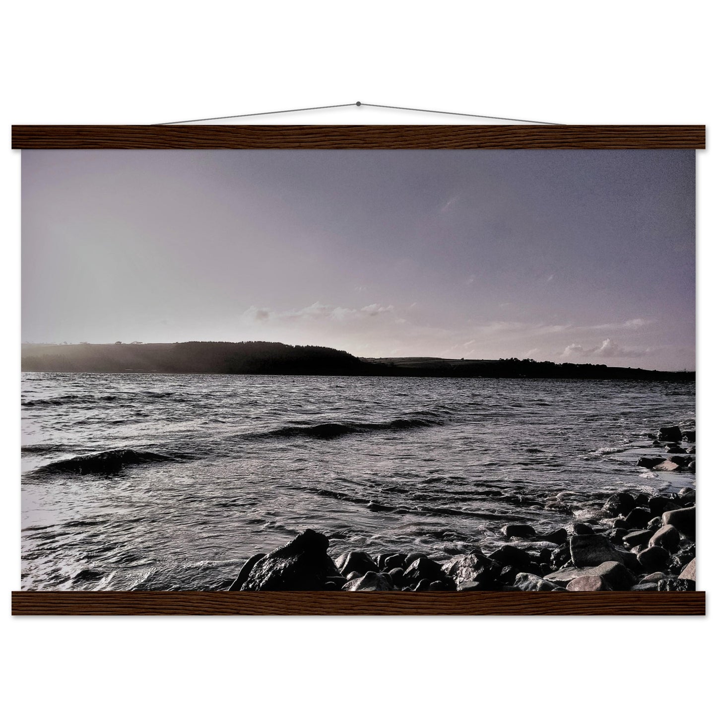 c3358333-574b-401d-8406-9ea9aae9c423