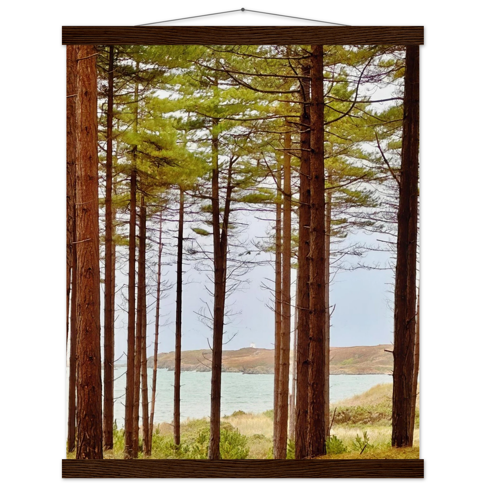 c3958a17-c0f6-4340-b2bf-d0ccdf9d0904