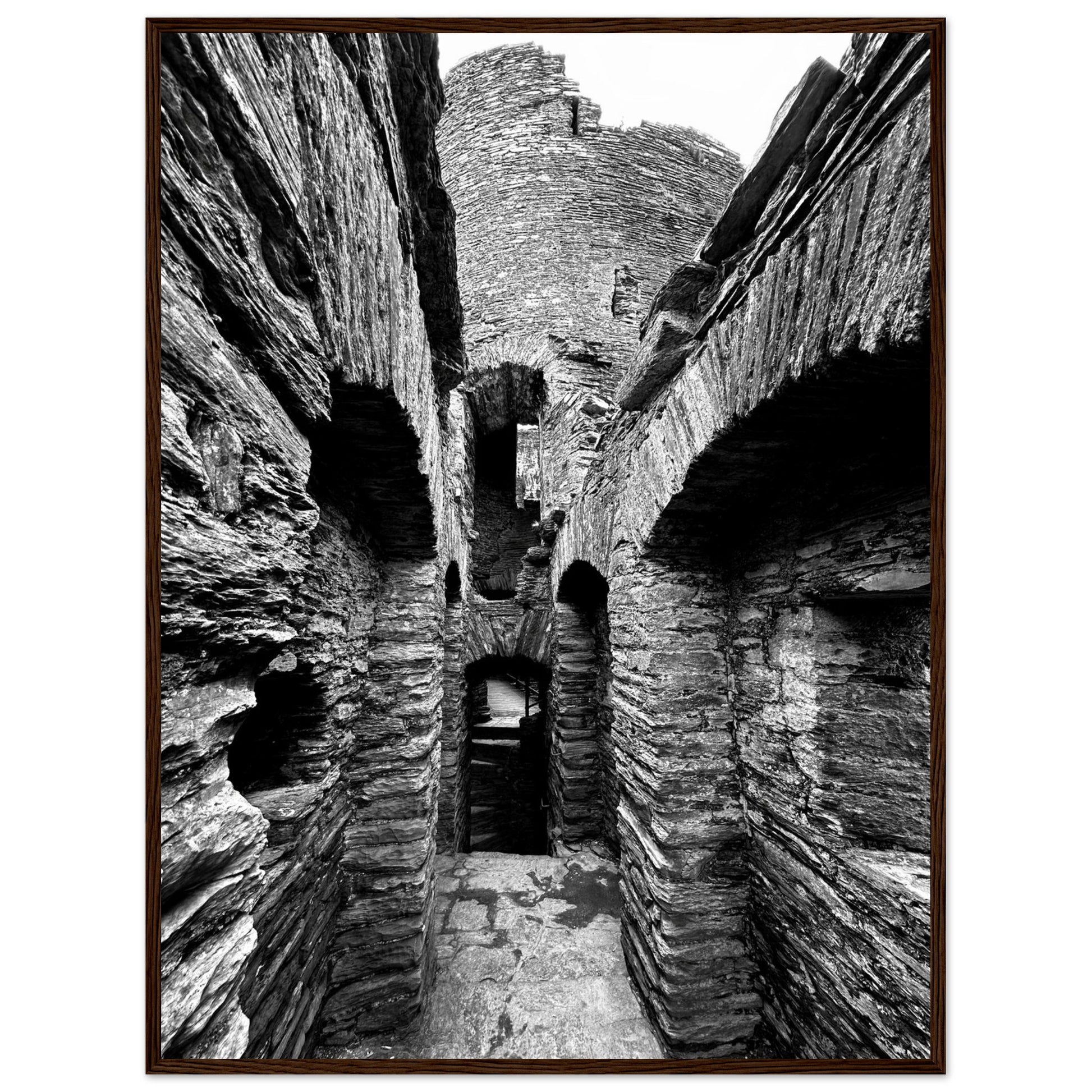 c3d1c99c-3d89-4edf-8abb-2650e572e8fd