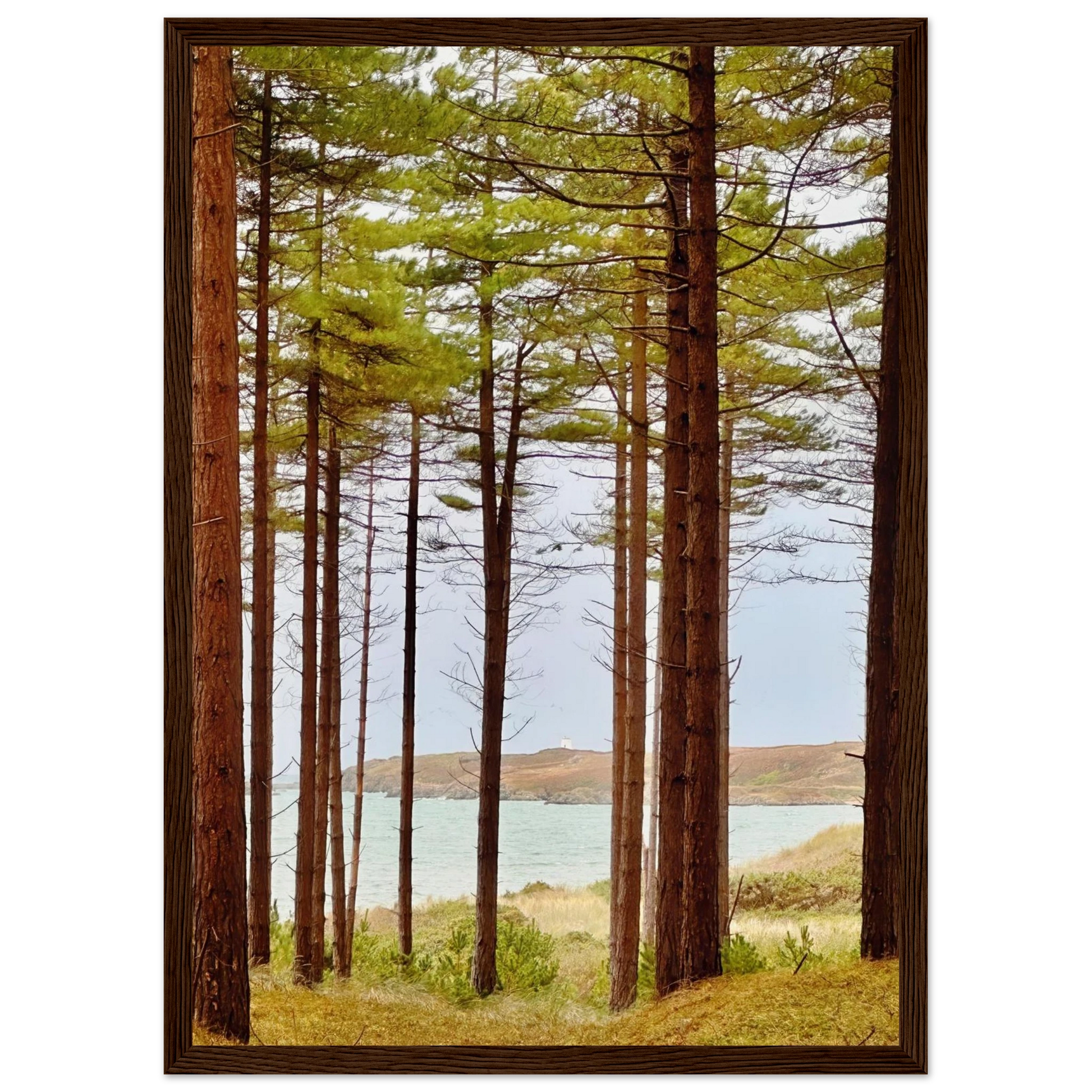 c4008c99-7a87-4327-a7e5-1305facfcf8d