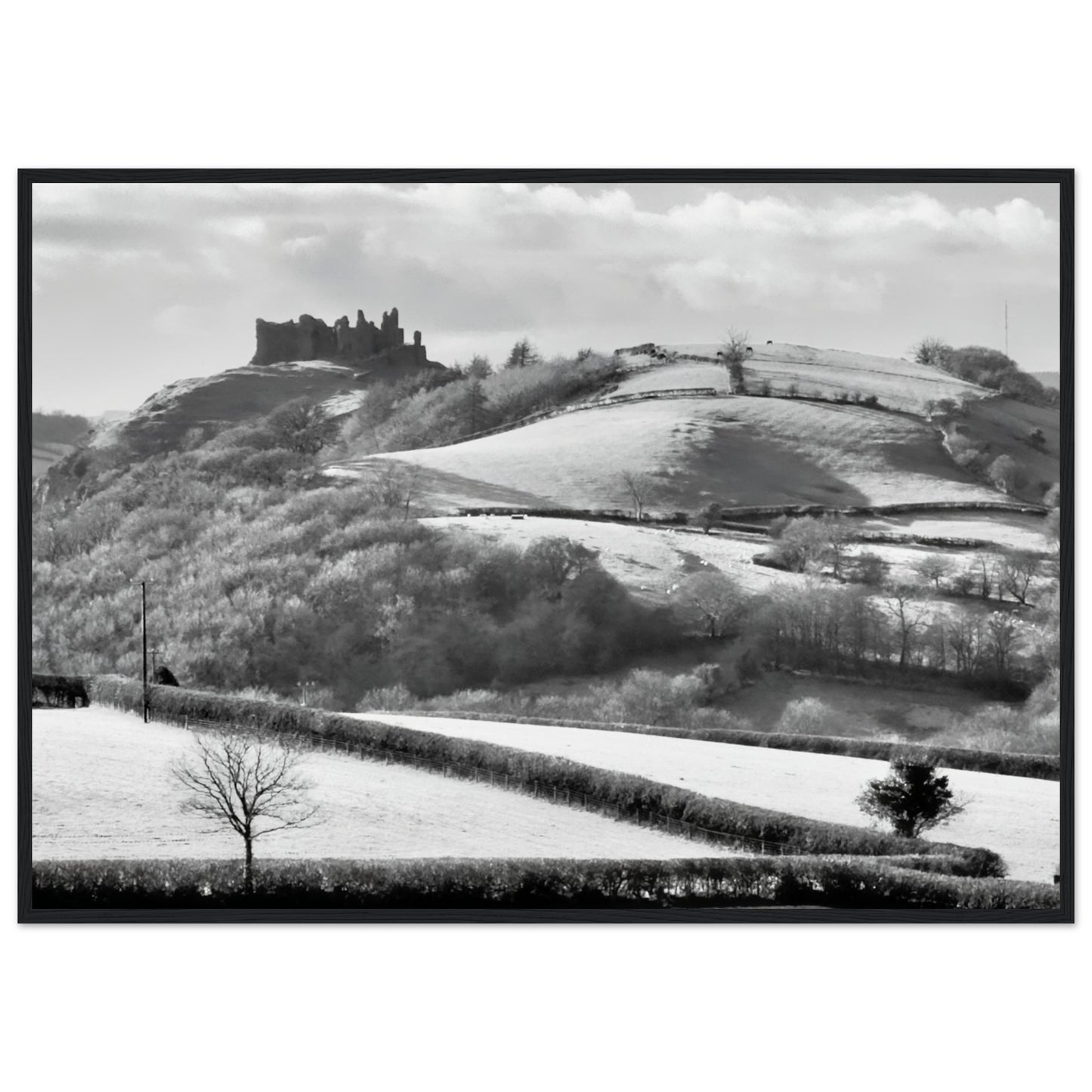 c610757c-4f75-402a-bc17-242f1b4d874b