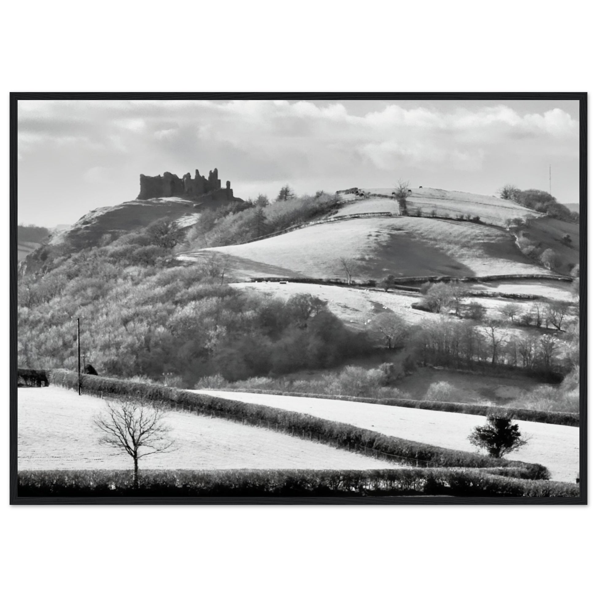 c610757c-4f75-402a-bc17-242f1b4d874b