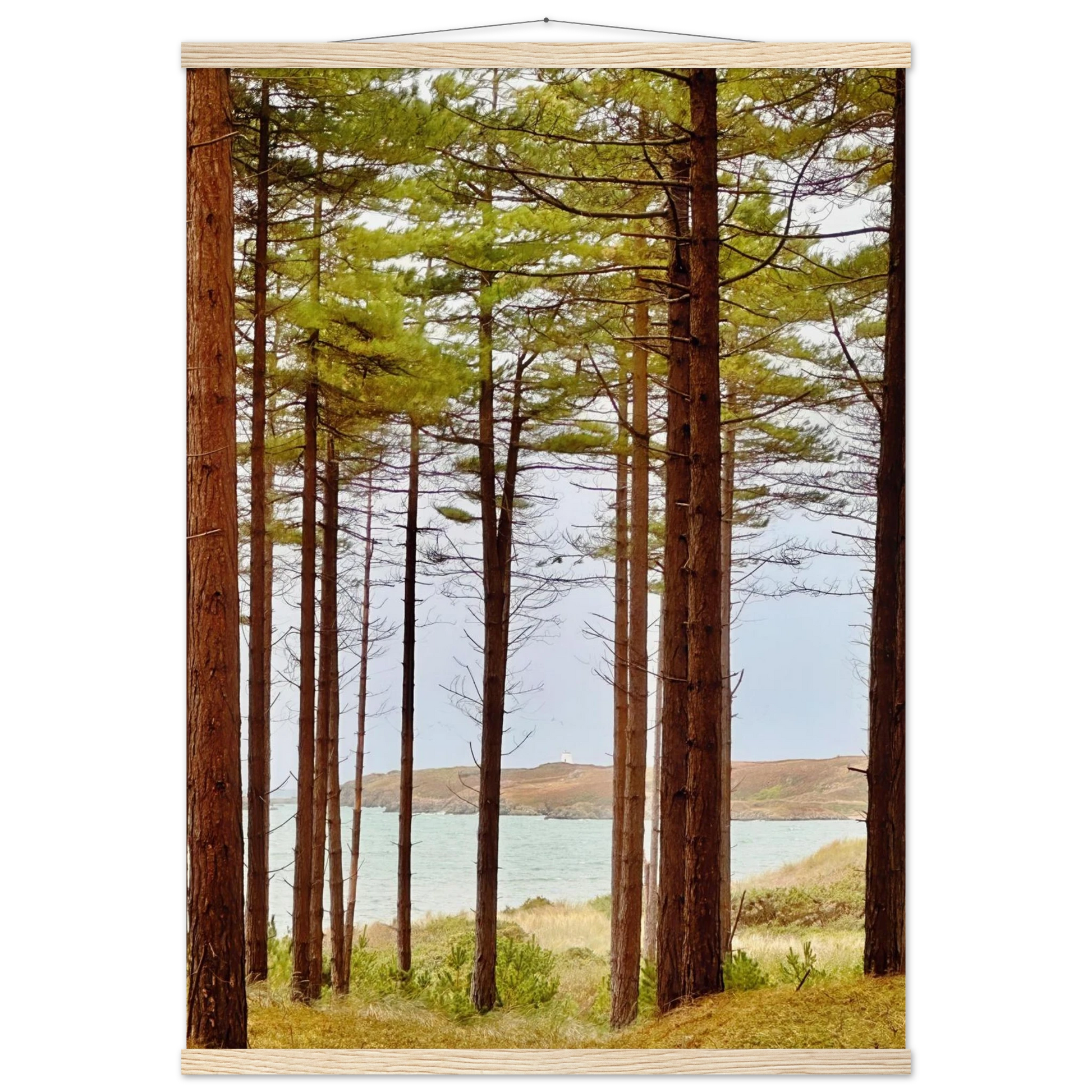 c82bda58-b34f-4a34-a665-cb2b5b868d15