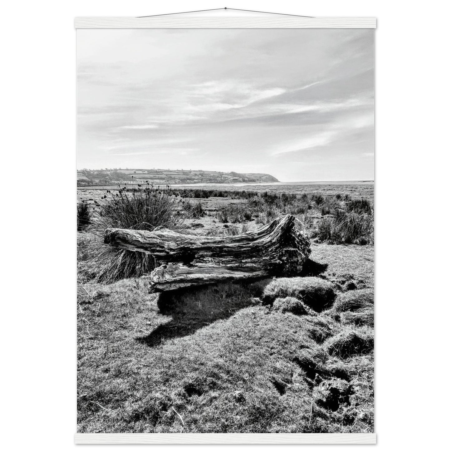 c8aaeda4-e1c2-4ac5-a017-41d8d6490834