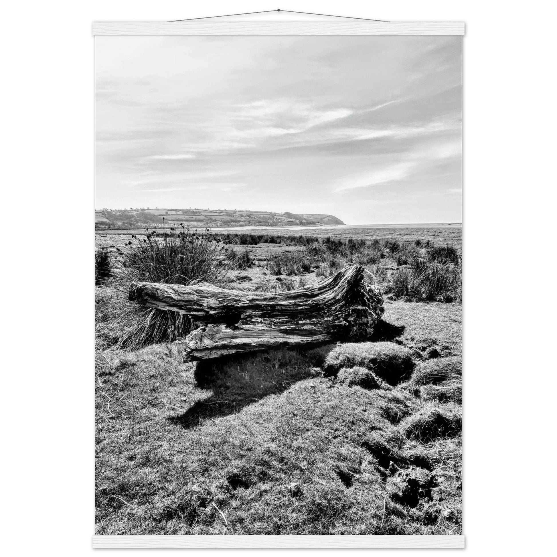 c8aaeda4-e1c2-4ac5-a017-41d8d6490834