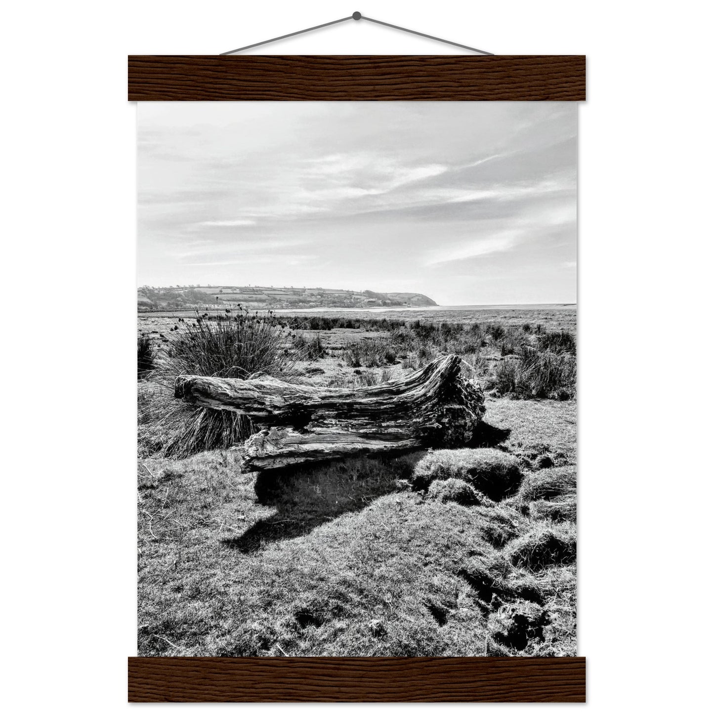 cc90a977-041d-4c3f-88dd-b393a108aec1