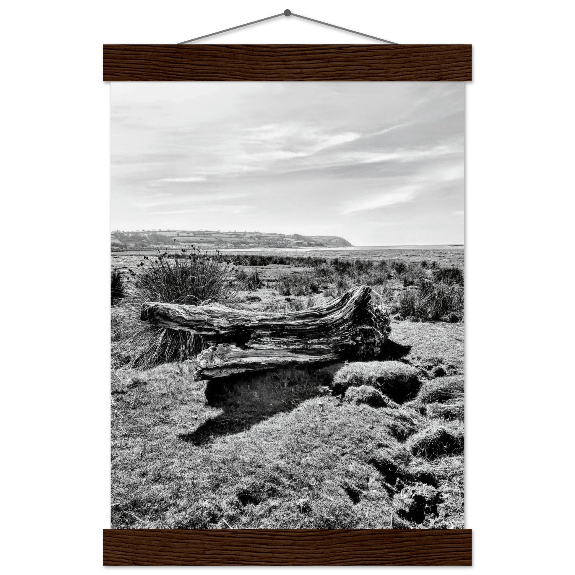 cc90a977-041d-4c3f-88dd-b393a108aec1