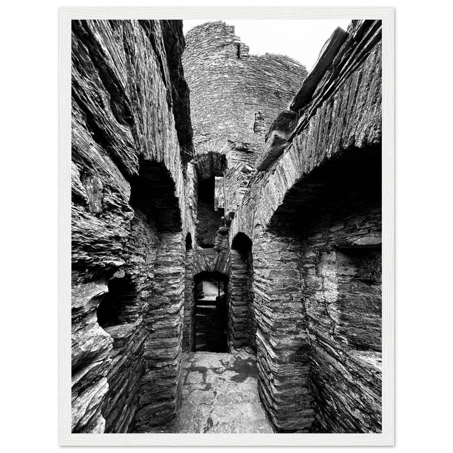 cd3fed1c-569c-4db2-9b72-c53100c9f2af