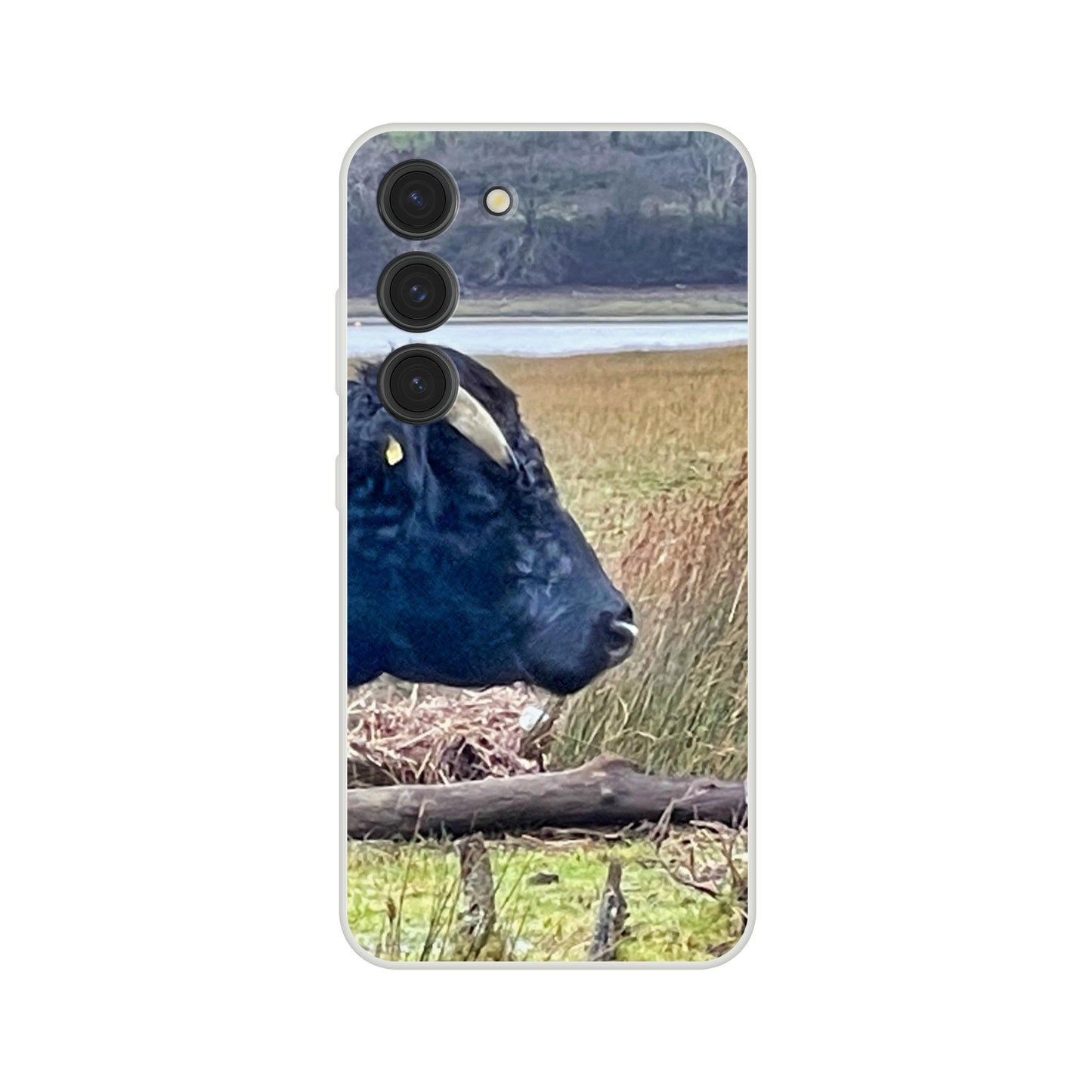 d0e01c1e-a040-4bb8-aea7-af713a5ac432