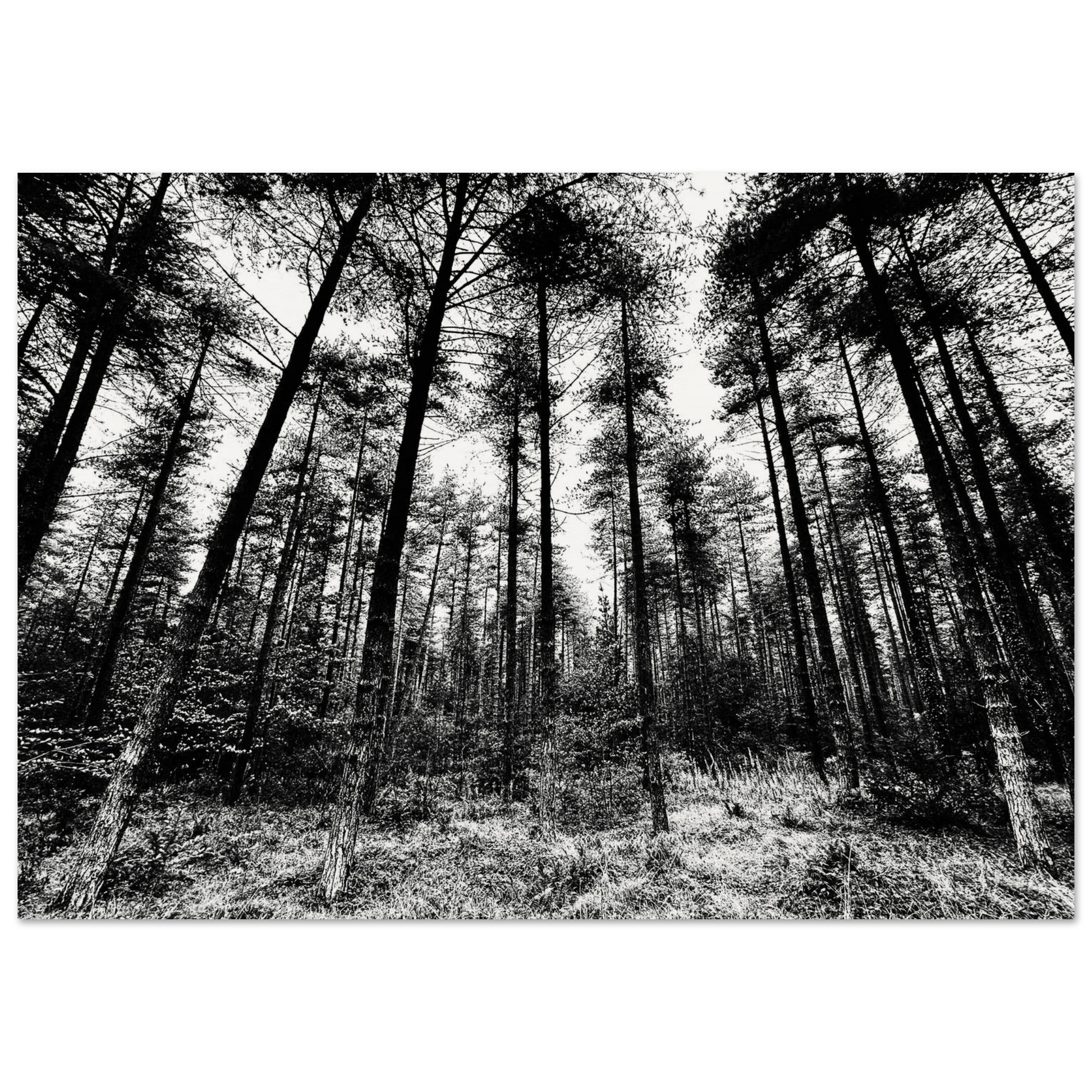 d0f63bdb-8c74-46fc-983c-3e0b50cb476d