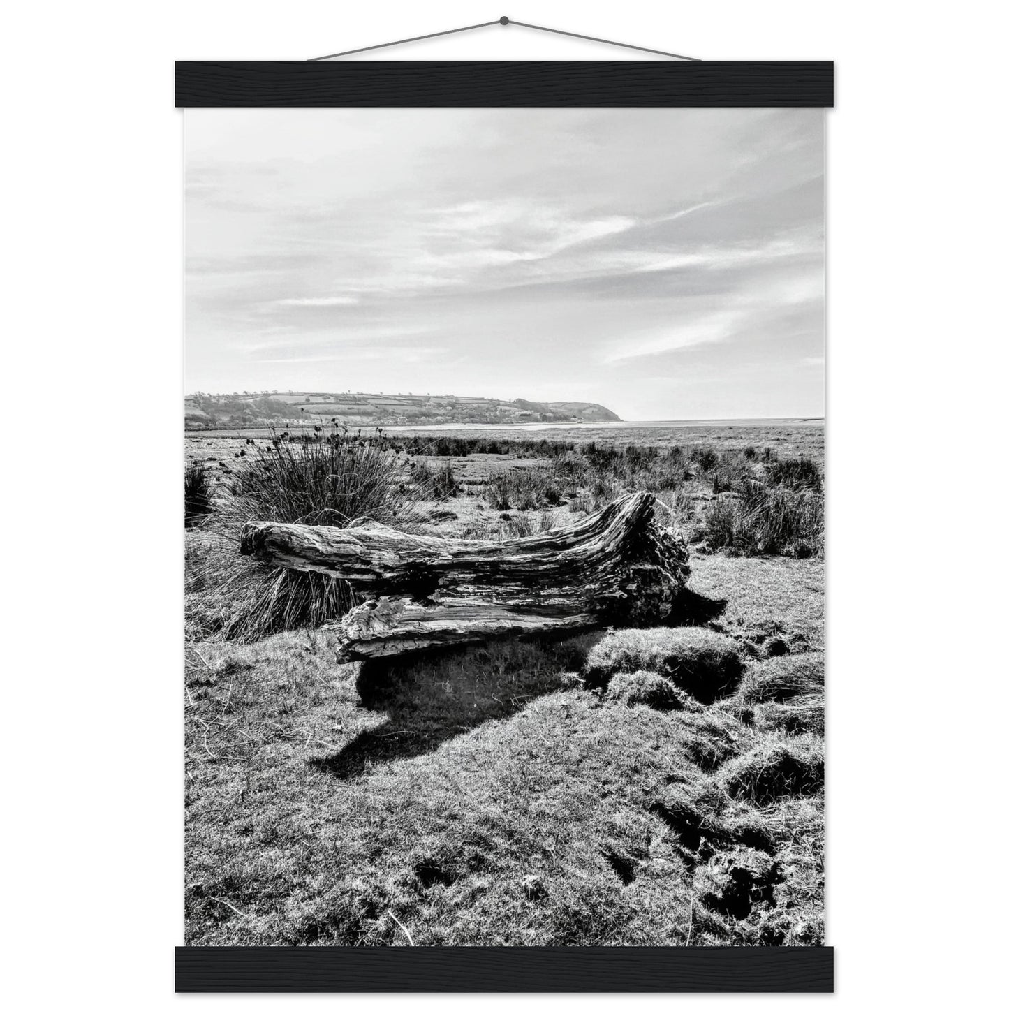 d312b6d7-d1cc-49e4-b021-44670d785eba