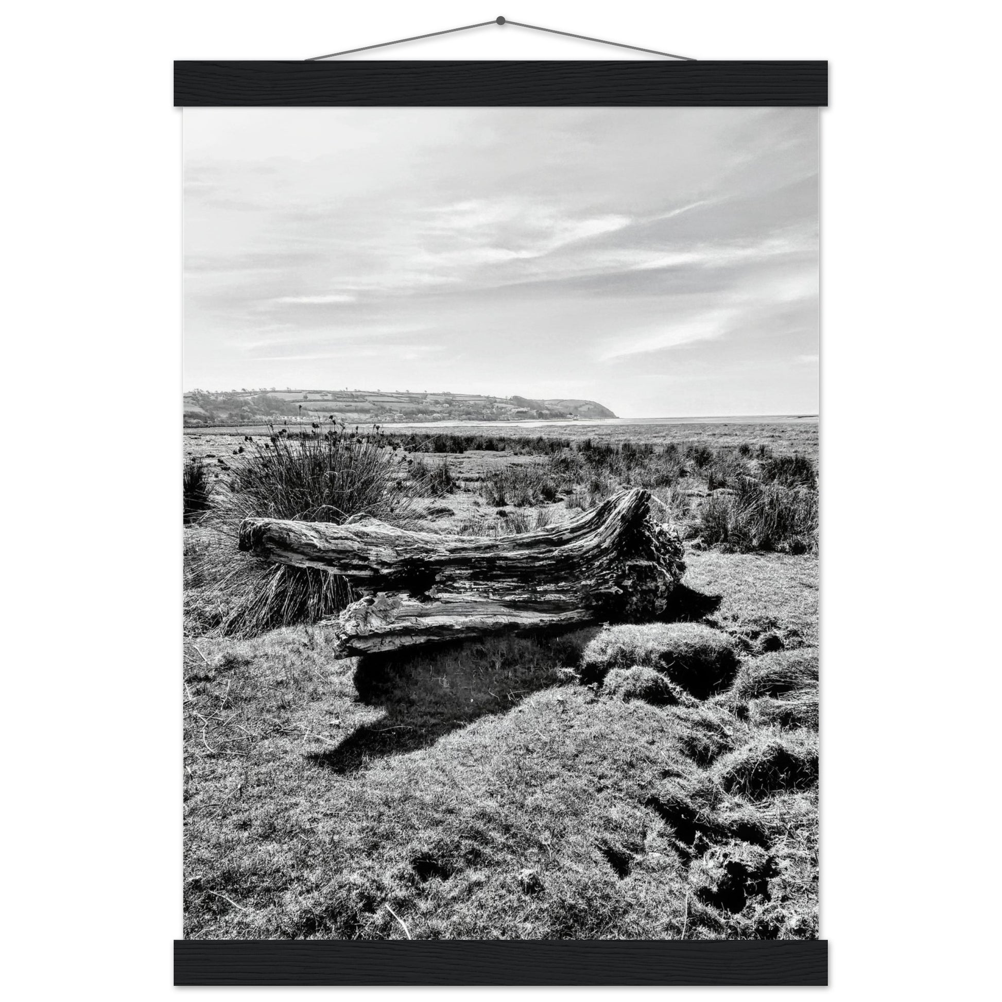 d312b6d7-d1cc-49e4-b021-44670d785eba