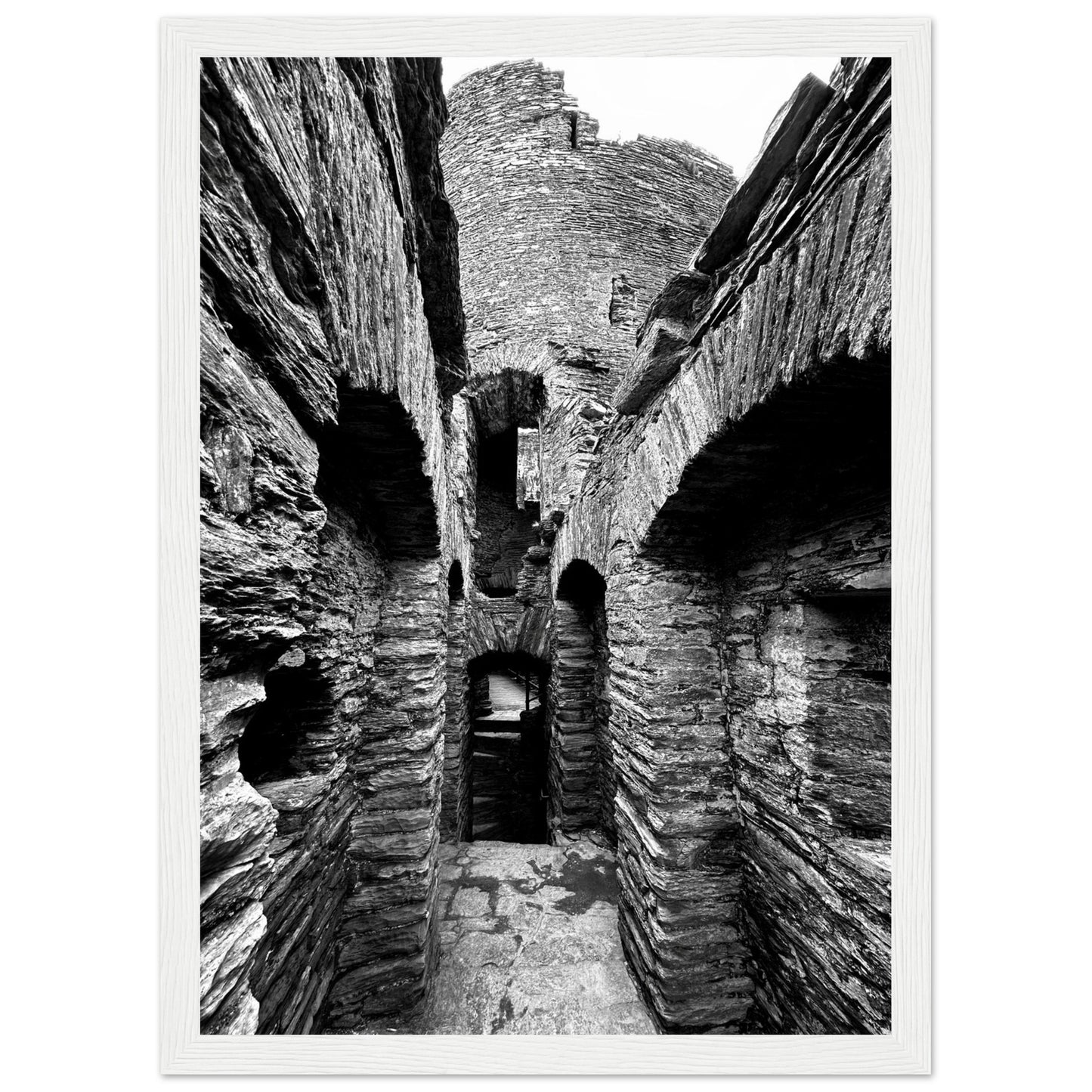 d4495fcb-b781-4f9f-92ca-fa7c0c221687