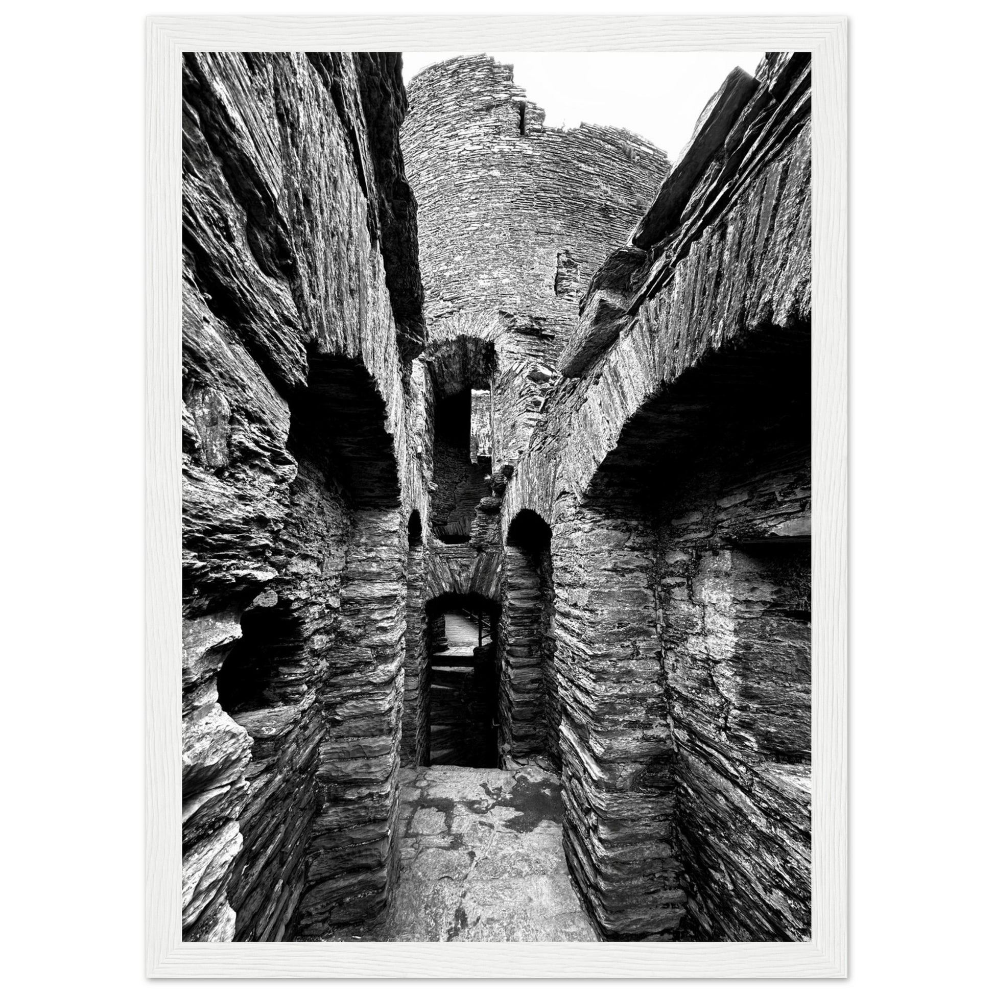 d4495fcb-b781-4f9f-92ca-fa7c0c221687