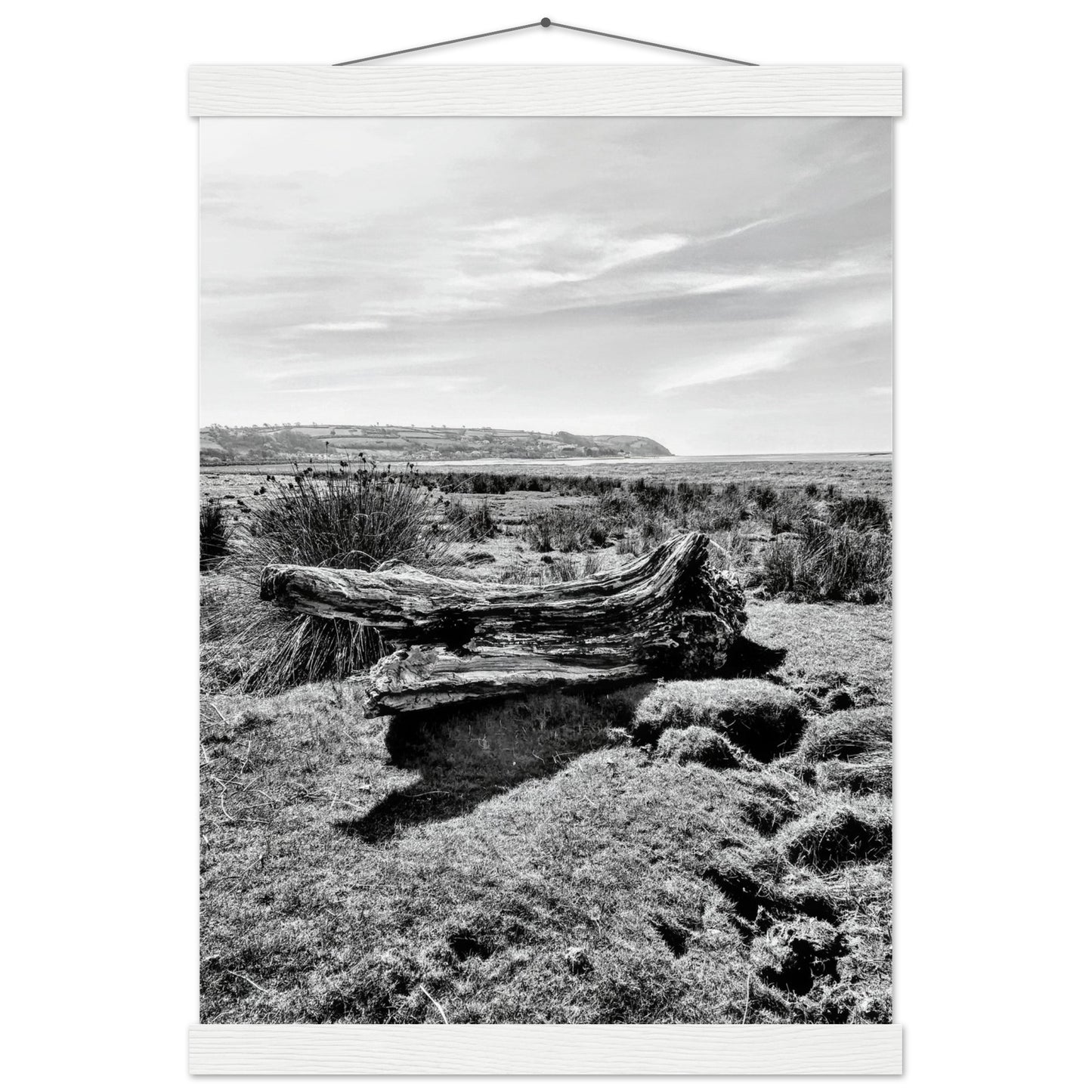 d4b91cad-d0d9-476d-945f-13f417ed291e