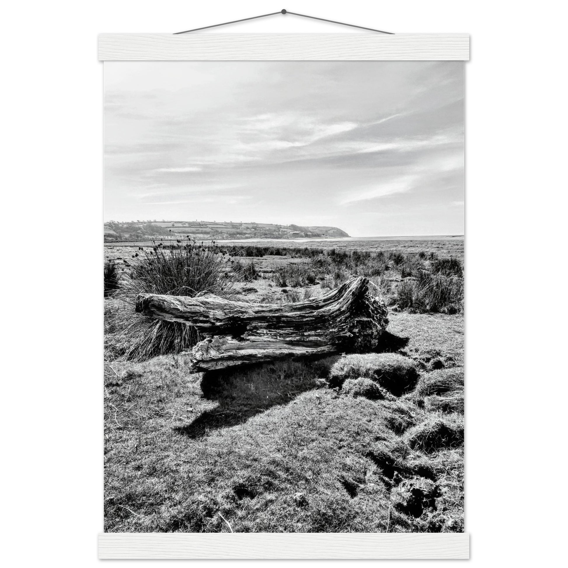 d4b91cad-d0d9-476d-945f-13f417ed291e