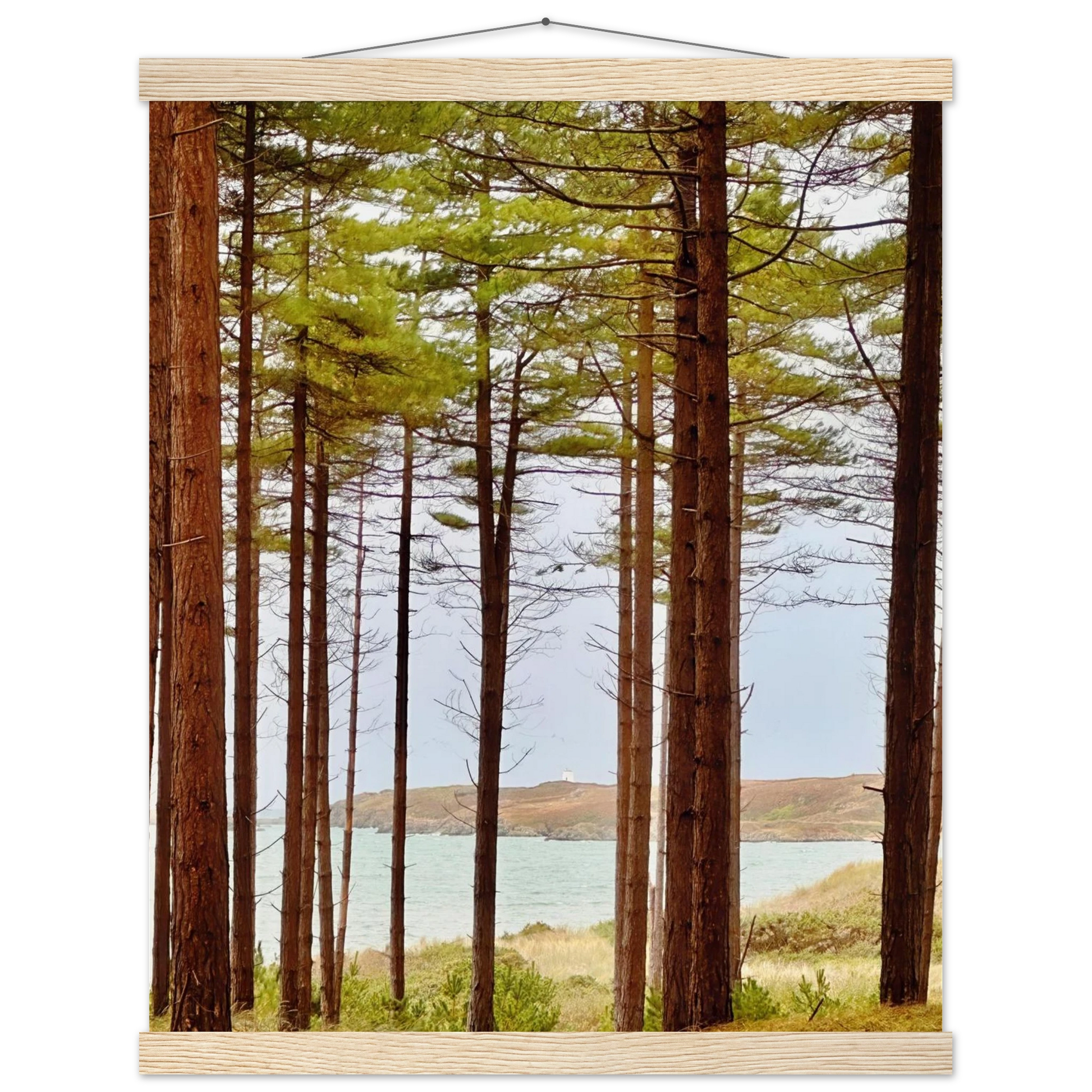 d97a204b-d673-4896-b80c-2a7f618a055d