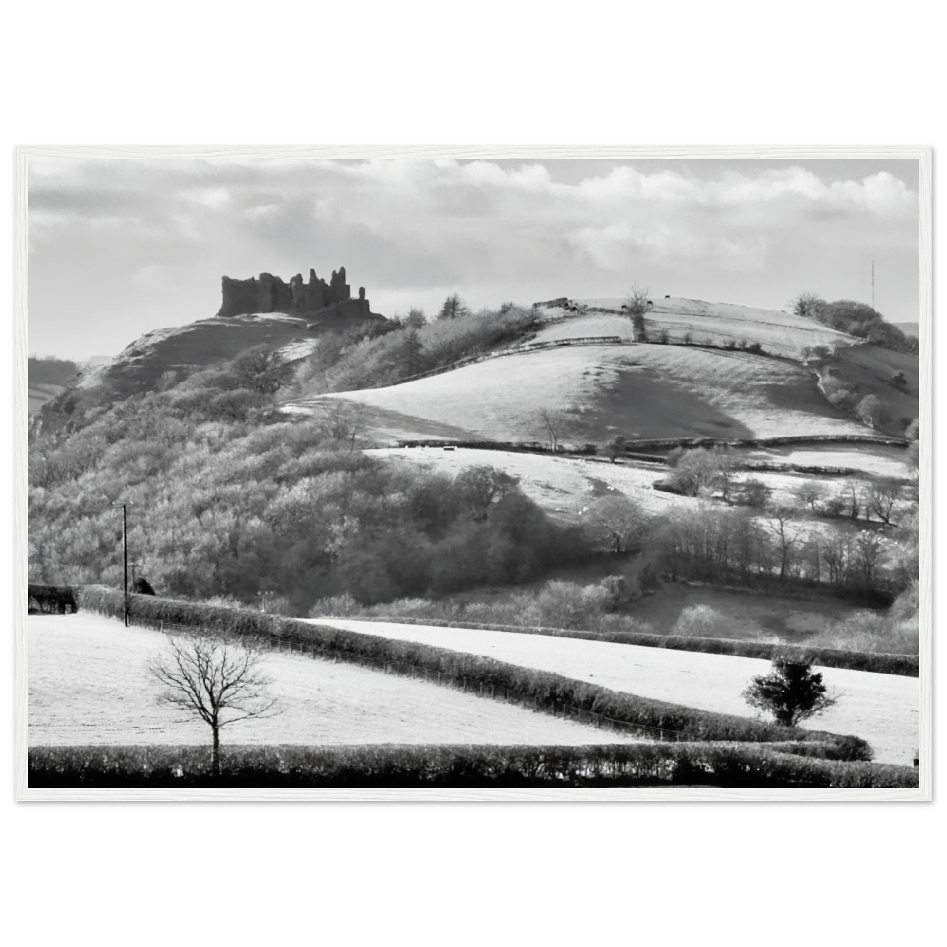 da612066-0e08-4a94-8092-793fed28b9a9