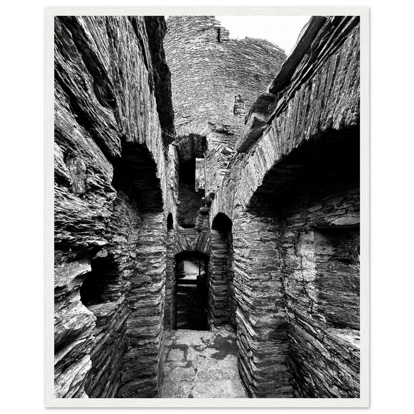 dbaba3bf-d171-422e-83a2-865101803bf4