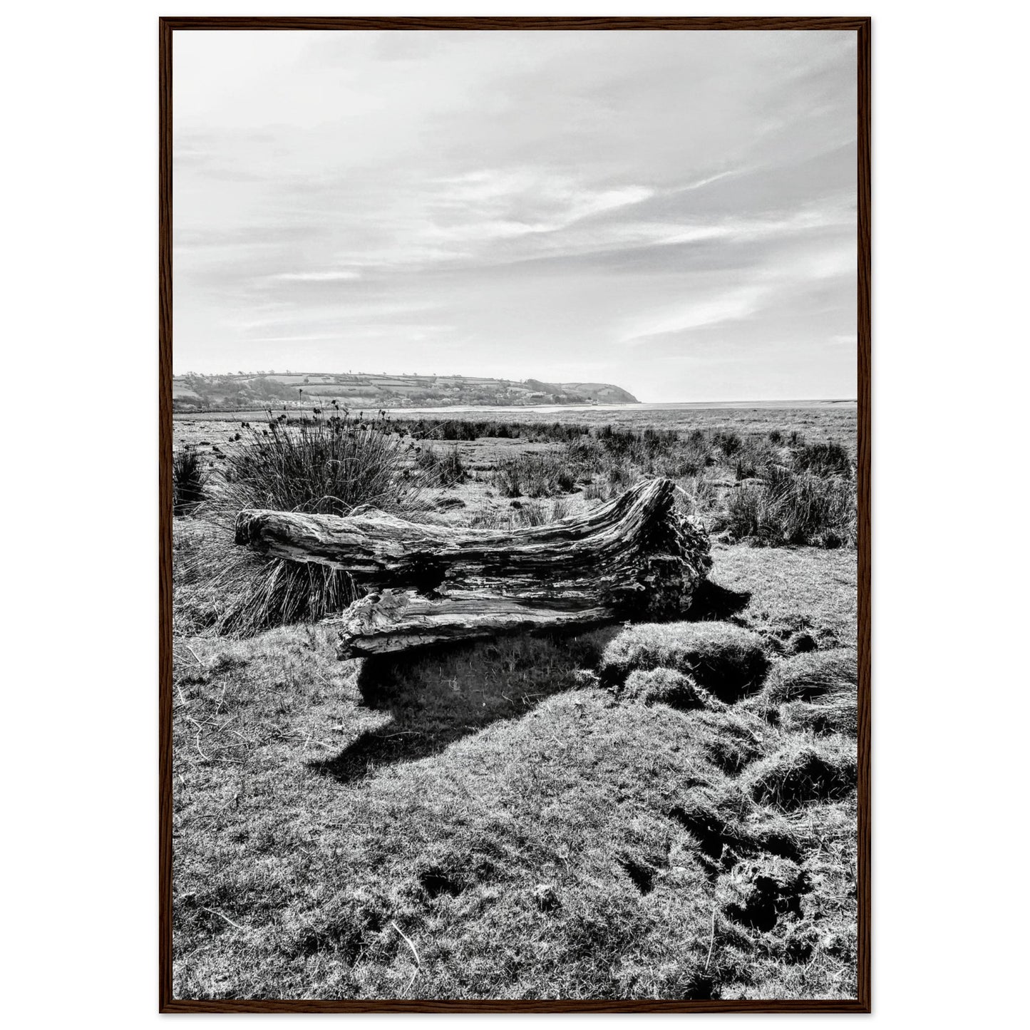 dce64a74-fcae-4fde-a0a8-3a5511aba70c