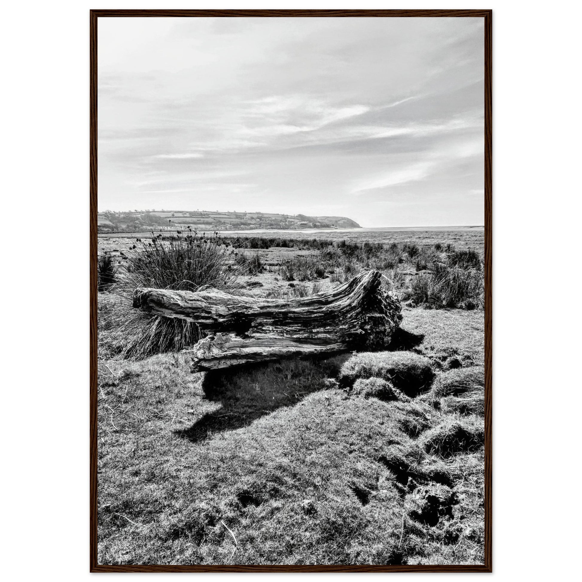 dce64a74-fcae-4fde-a0a8-3a5511aba70c