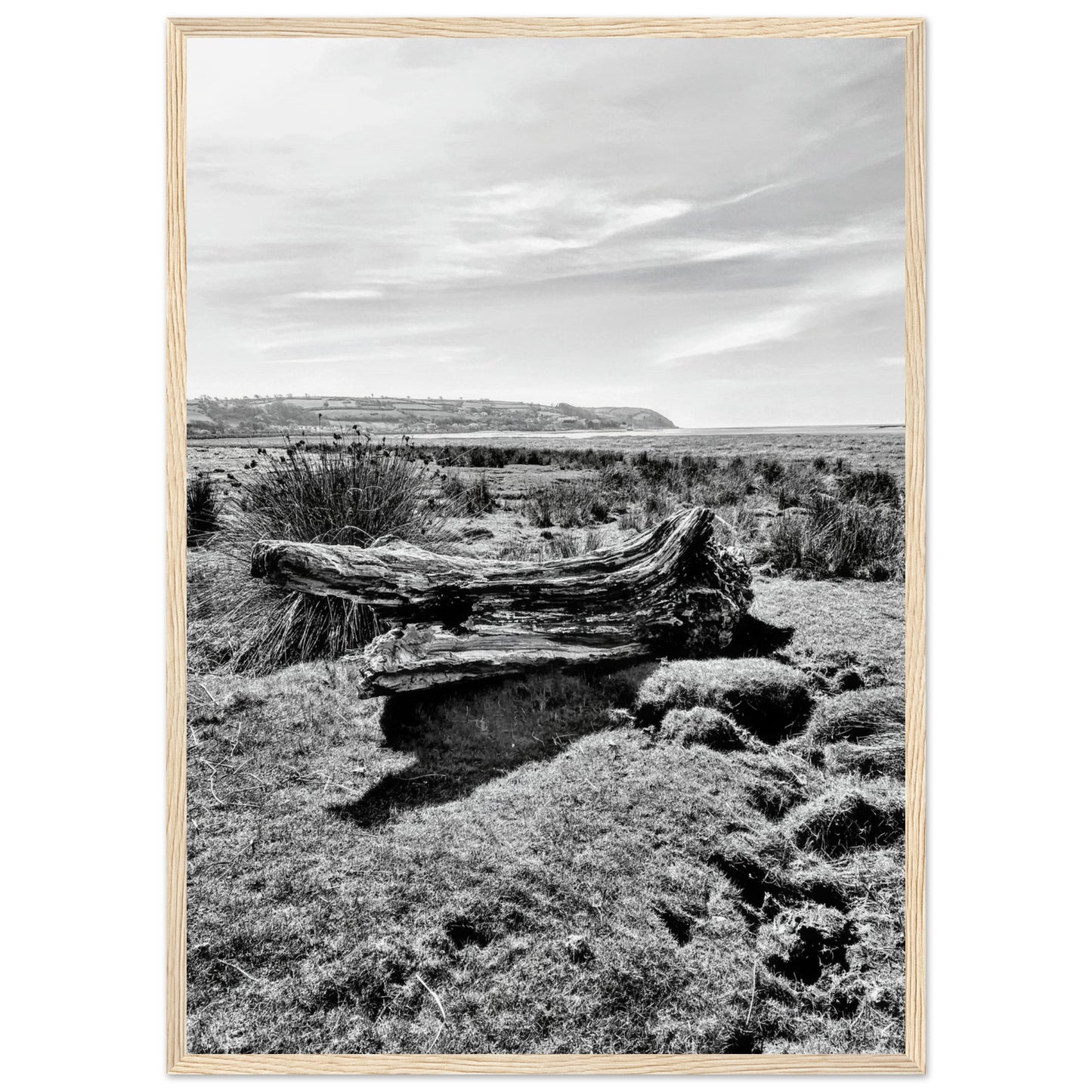 de7a01b0-d06f-4dae-8679-a2cd31deb9f4