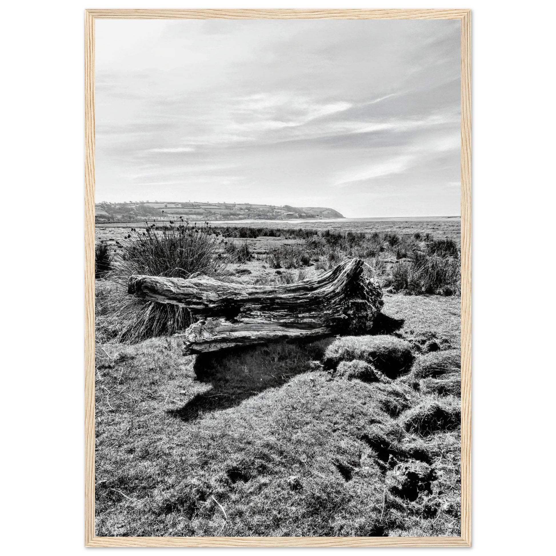 de7a01b0-d06f-4dae-8679-a2cd31deb9f4