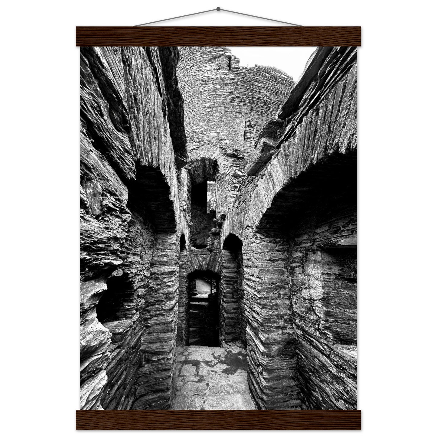 e17fb16b-732b-4d7b-b684-6f59e80cb6c0