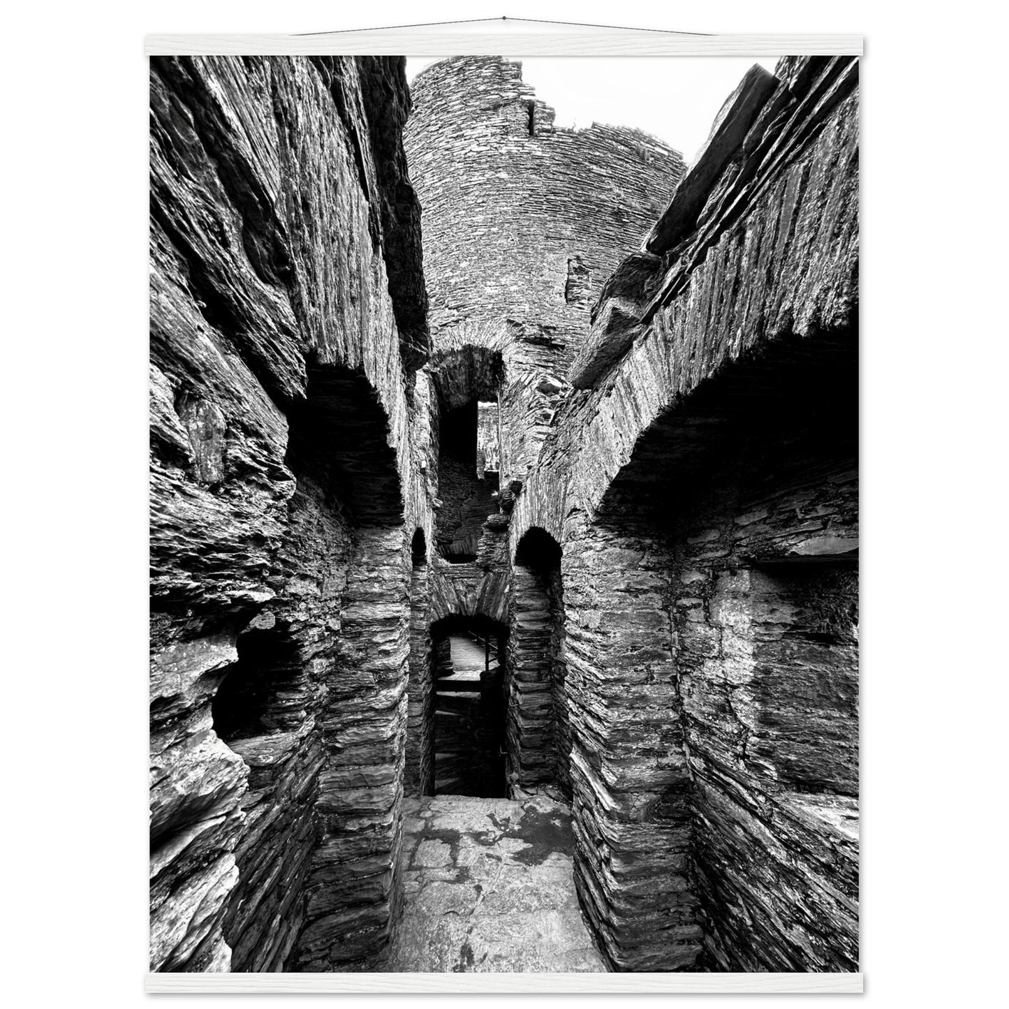 e5cd0385-d037-4fe2-ac81-7d8cd4e29016