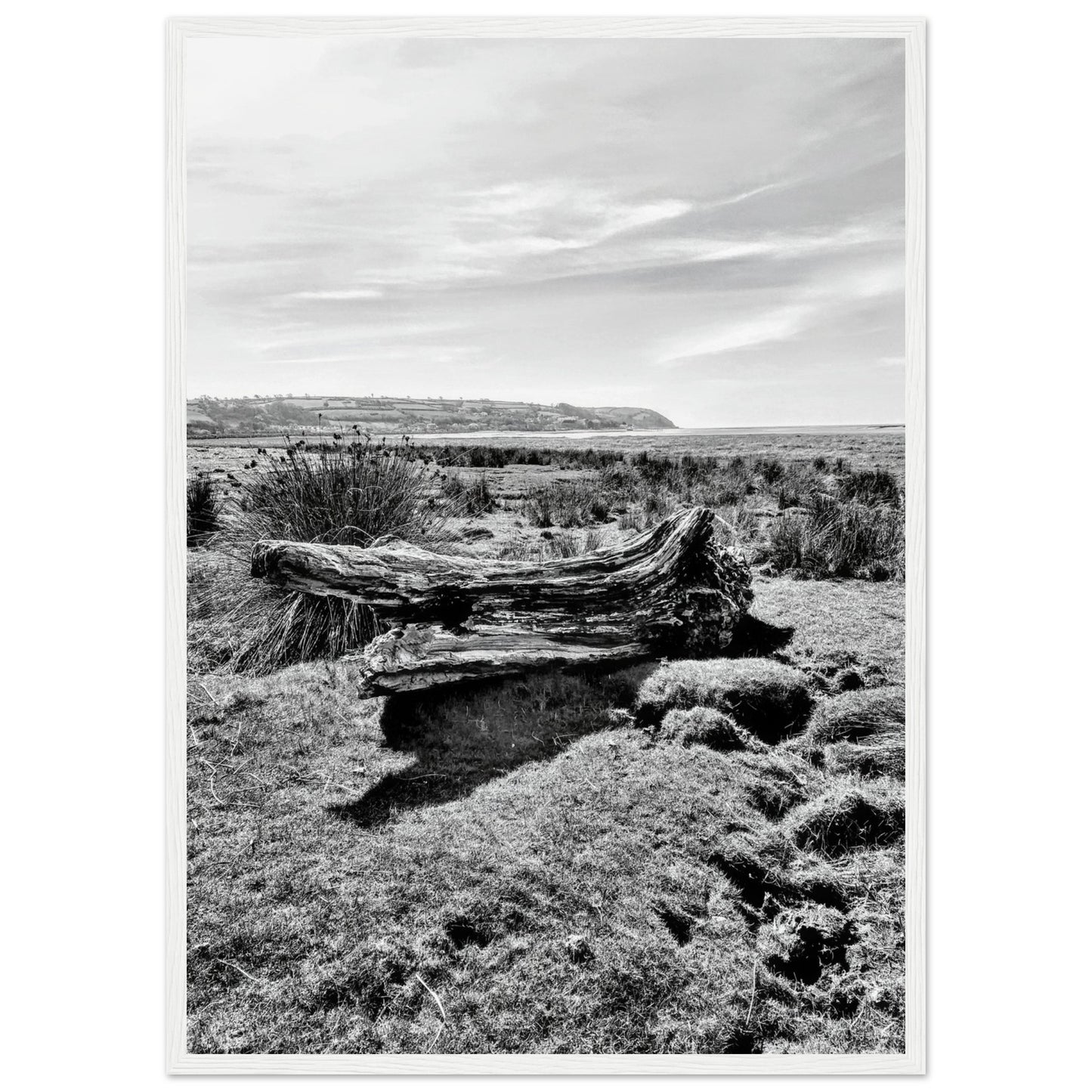 e9560213-ad93-4697-af47-4811c293148b