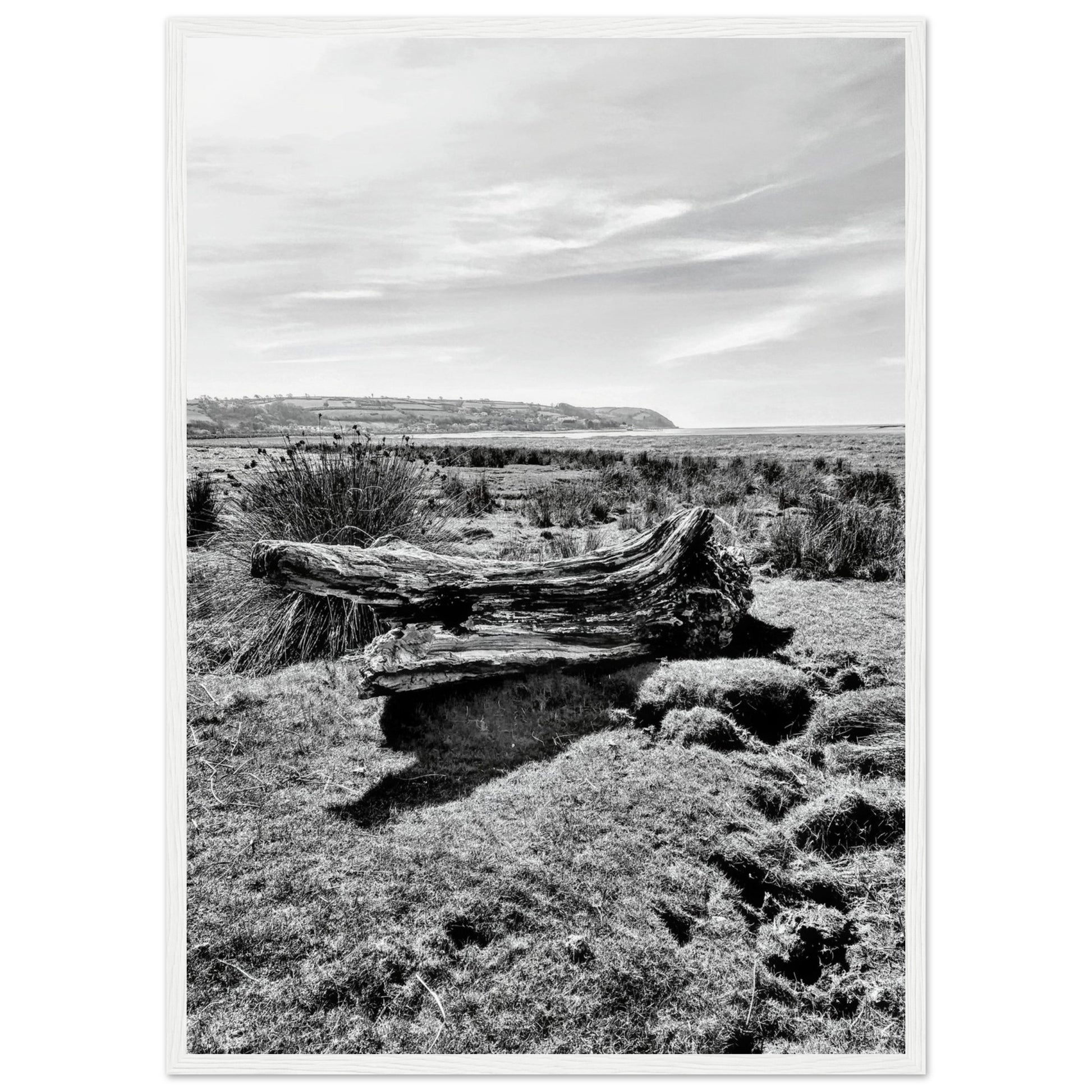 e9560213-ad93-4697-af47-4811c293148b