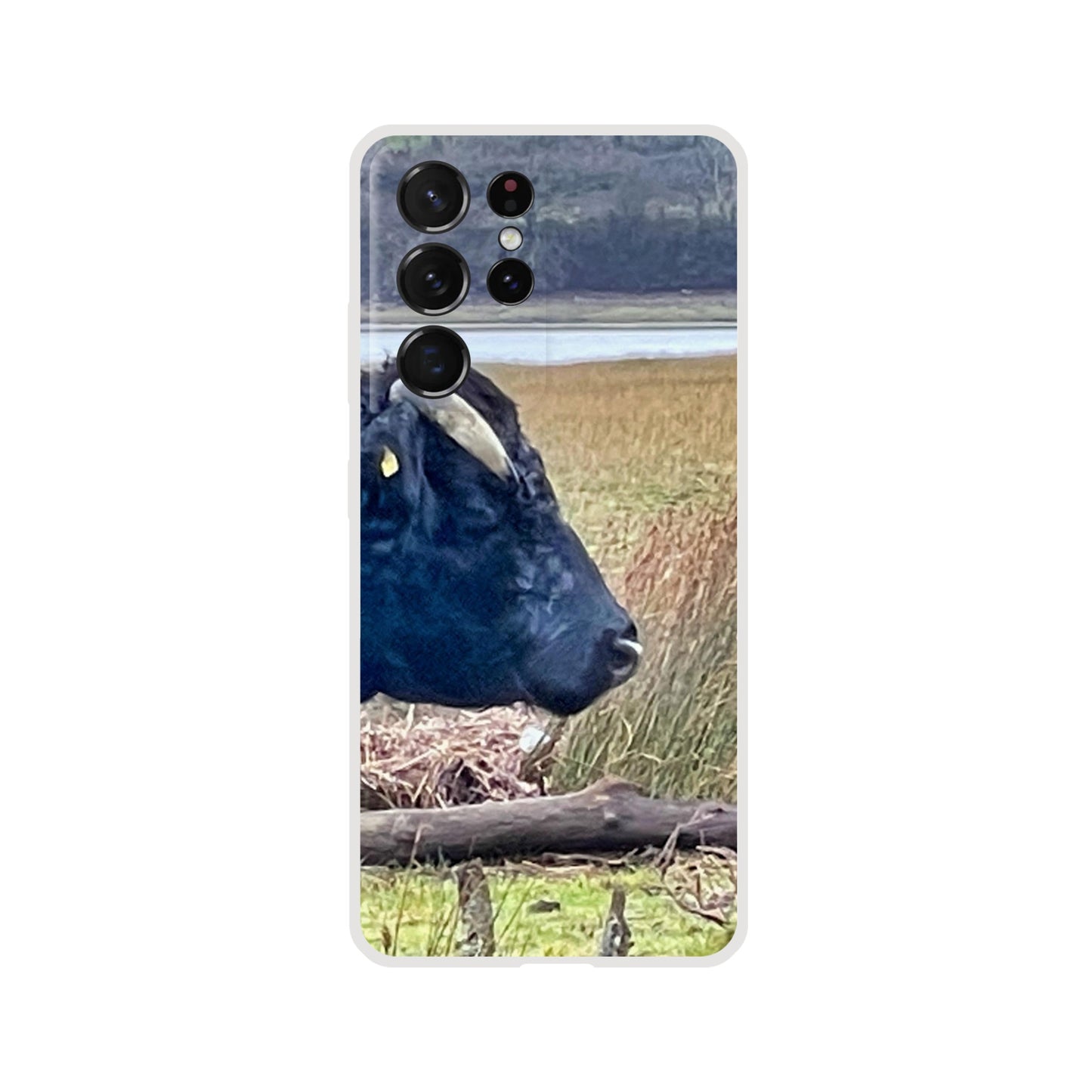 e9b76c95-edbc-48ad-936c-39774b3215ac