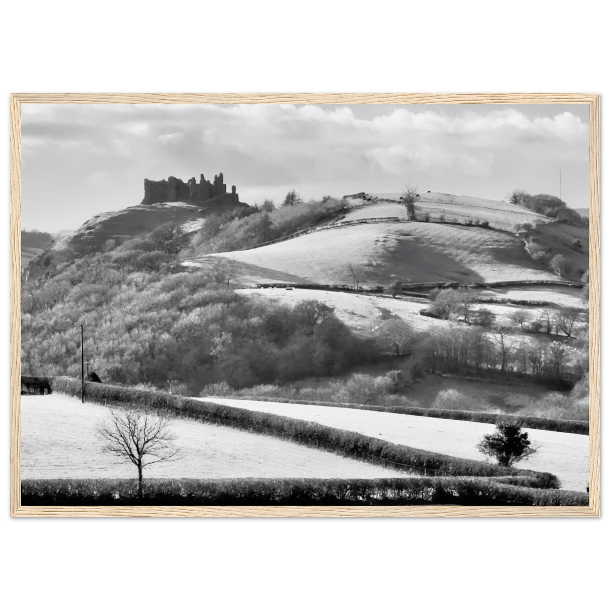 e9baa60d-d044-4d34-8561-b64bc0b55f5c