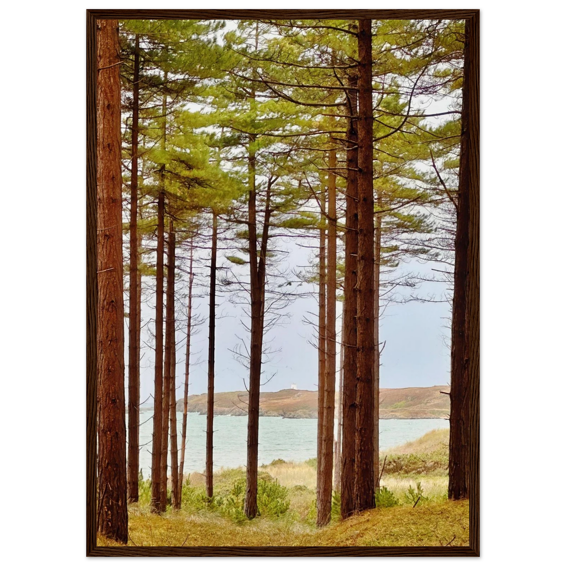 eb77916f-b3fc-44a5-ad1d-9935fb5a4107