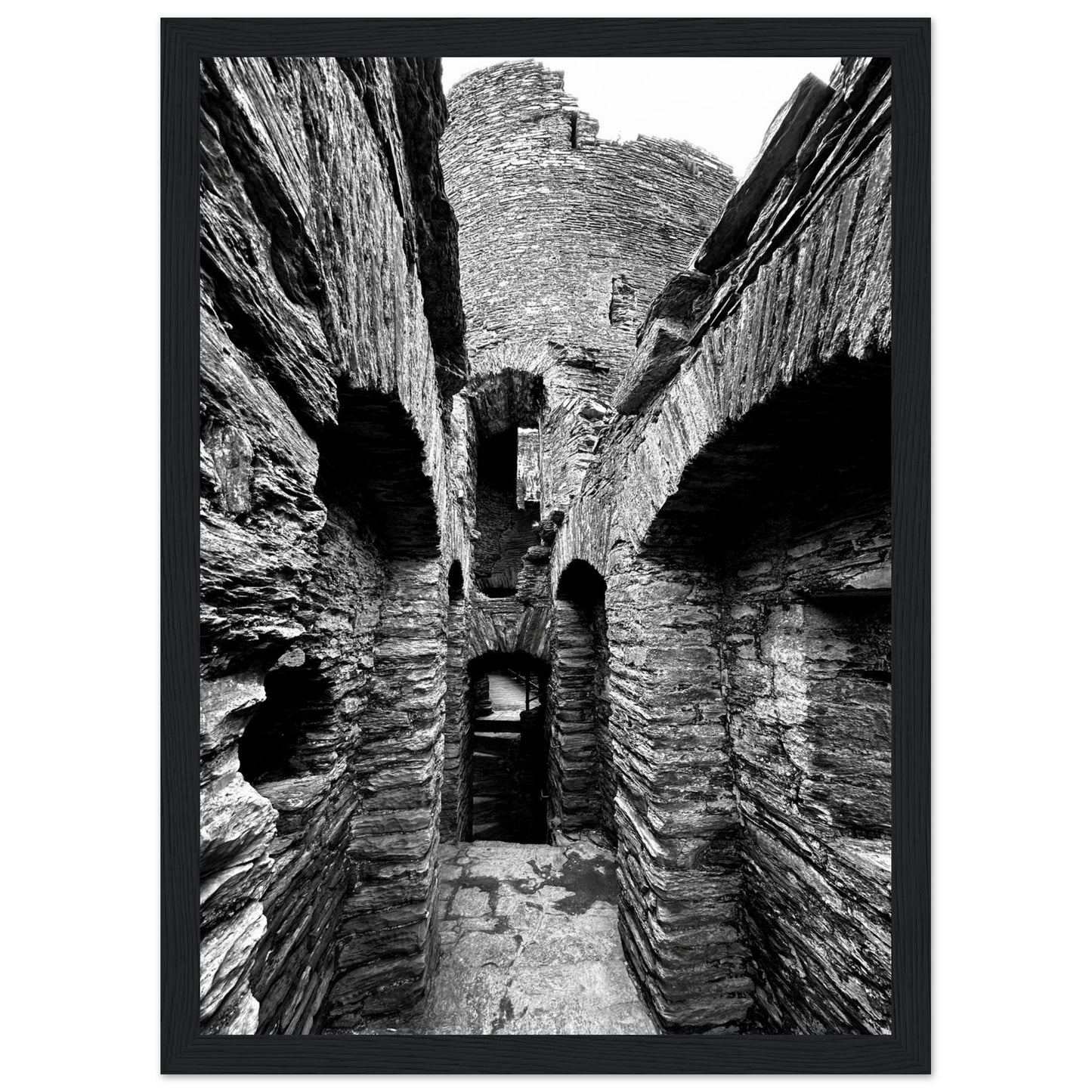 ed601ebc-be60-4eb1-bbce-79394c1c8cc8