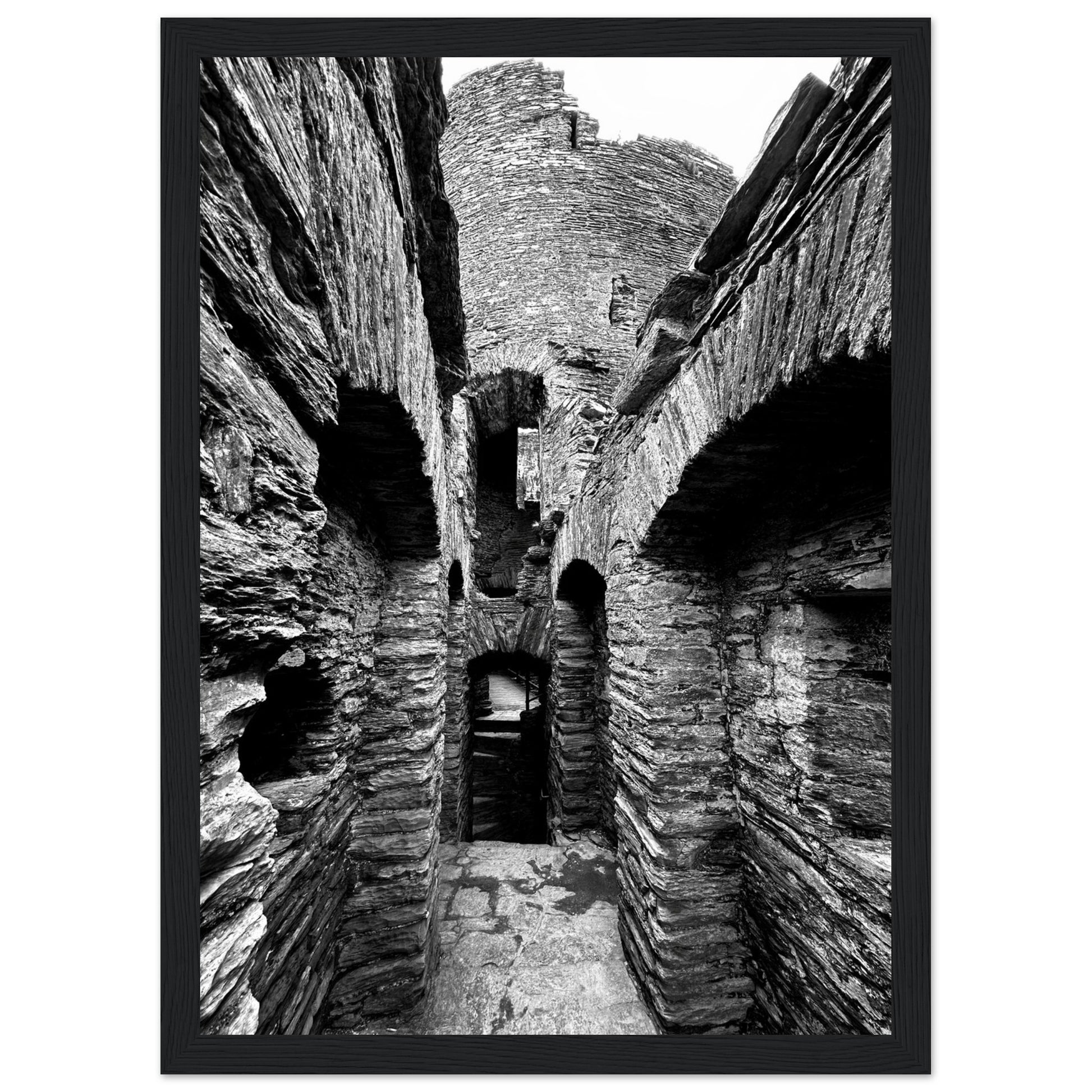 ed601ebc-be60-4eb1-bbce-79394c1c8cc8