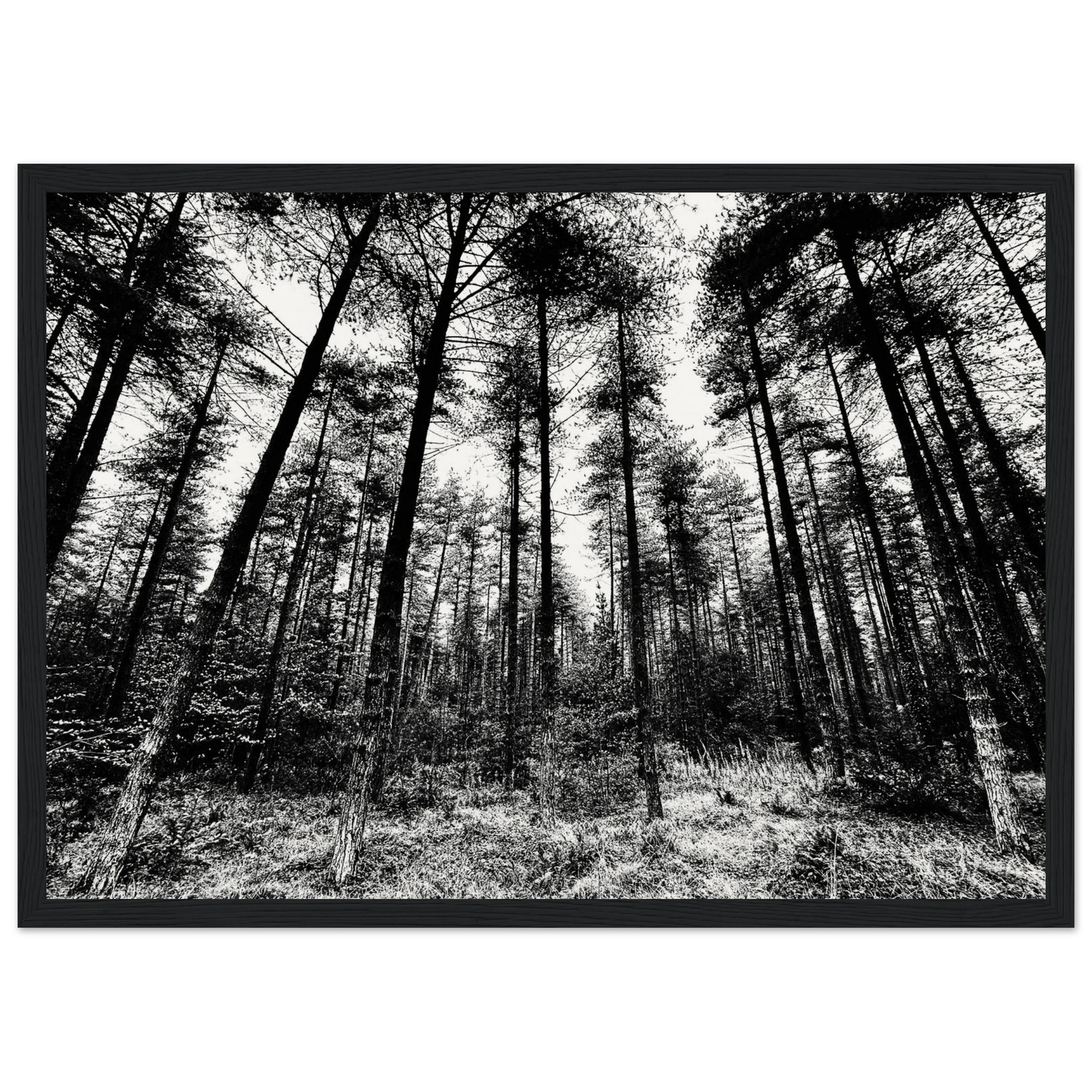 ee620b21-e366-43b5-bf35-9e32eec6094d