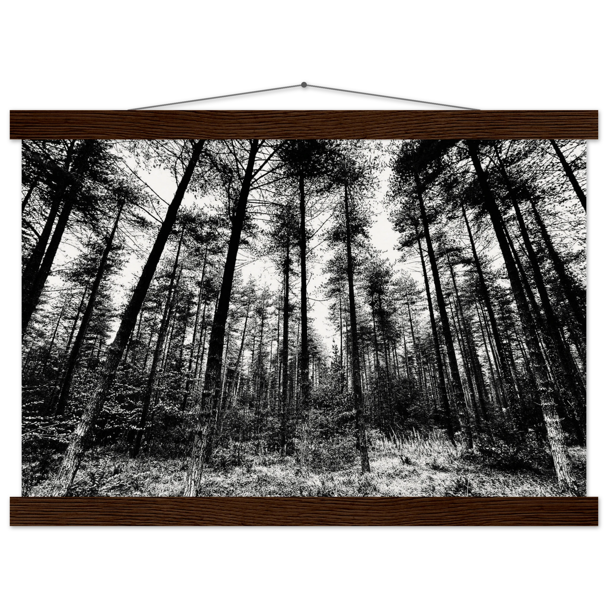 f0e8c8c3-67f6-4efa-9046-1e9fe9010f17