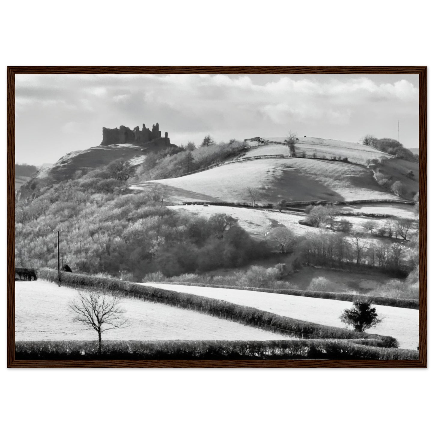 f2a1be22-259c-4a80-a19a-d12d6e0db4de