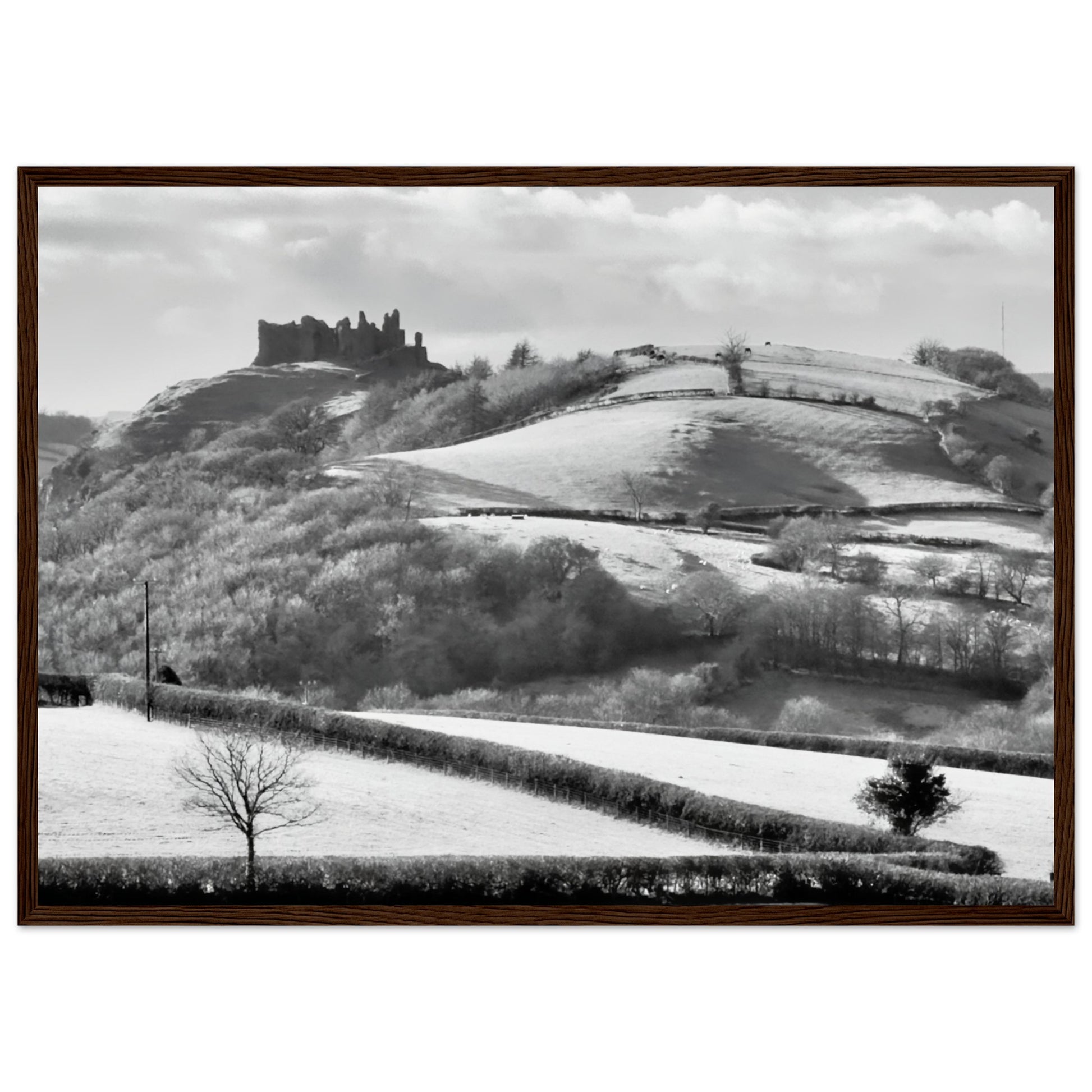 f2a1be22-259c-4a80-a19a-d12d6e0db4de