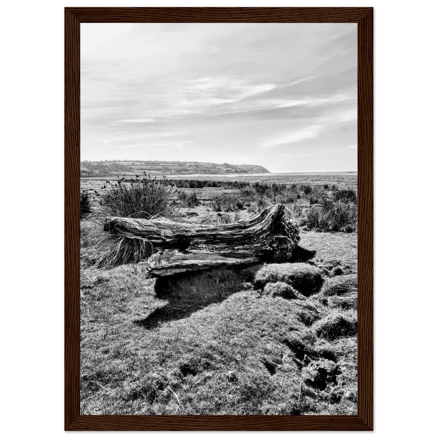 f3514dc3-33ab-420e-9fa9-1e43fb8c542d