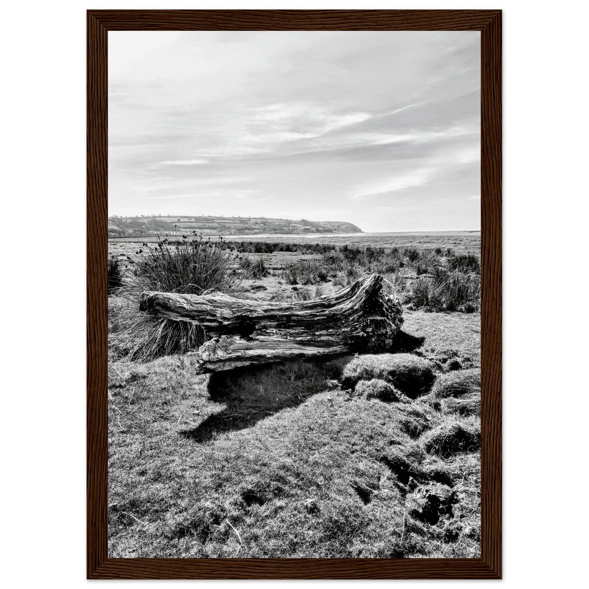 f3514dc3-33ab-420e-9fa9-1e43fb8c542d